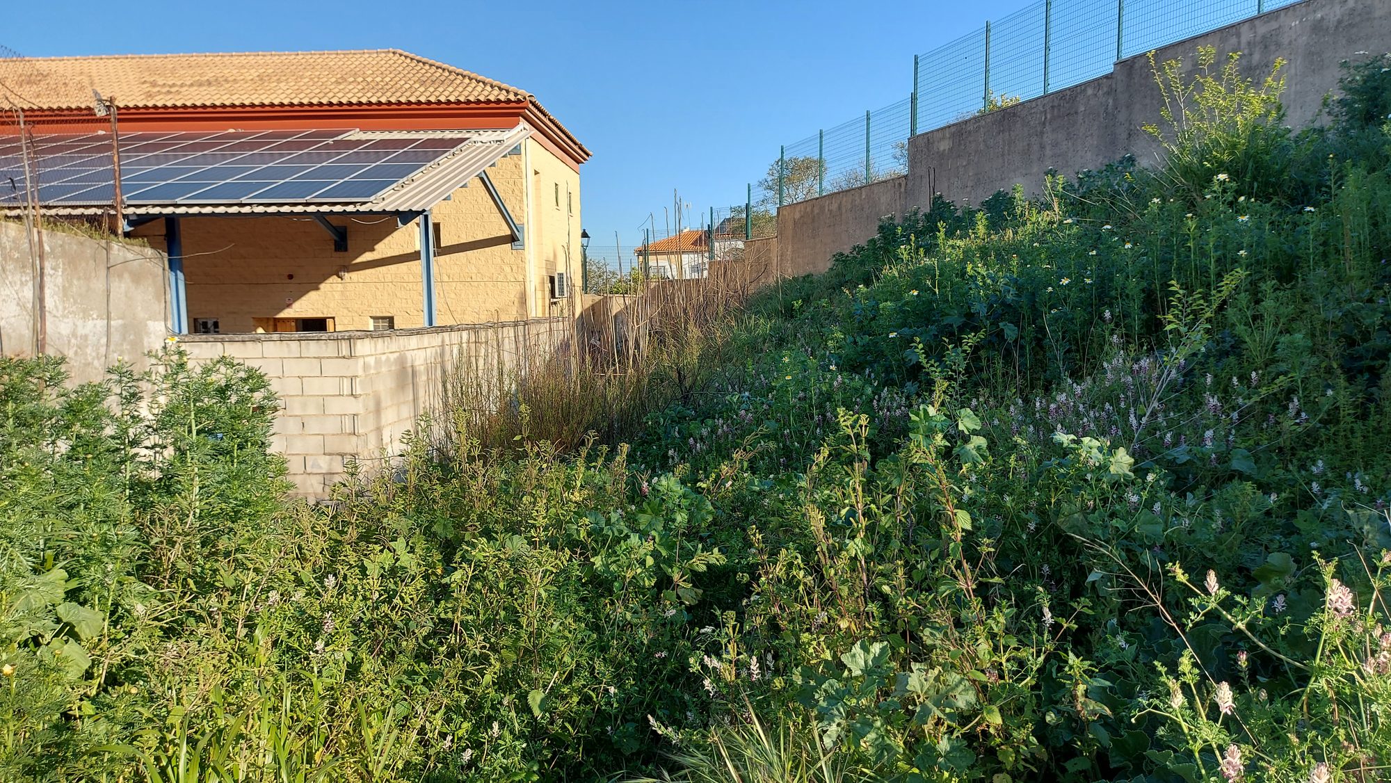 Jardín educativo del colegio SAFA en Osuna