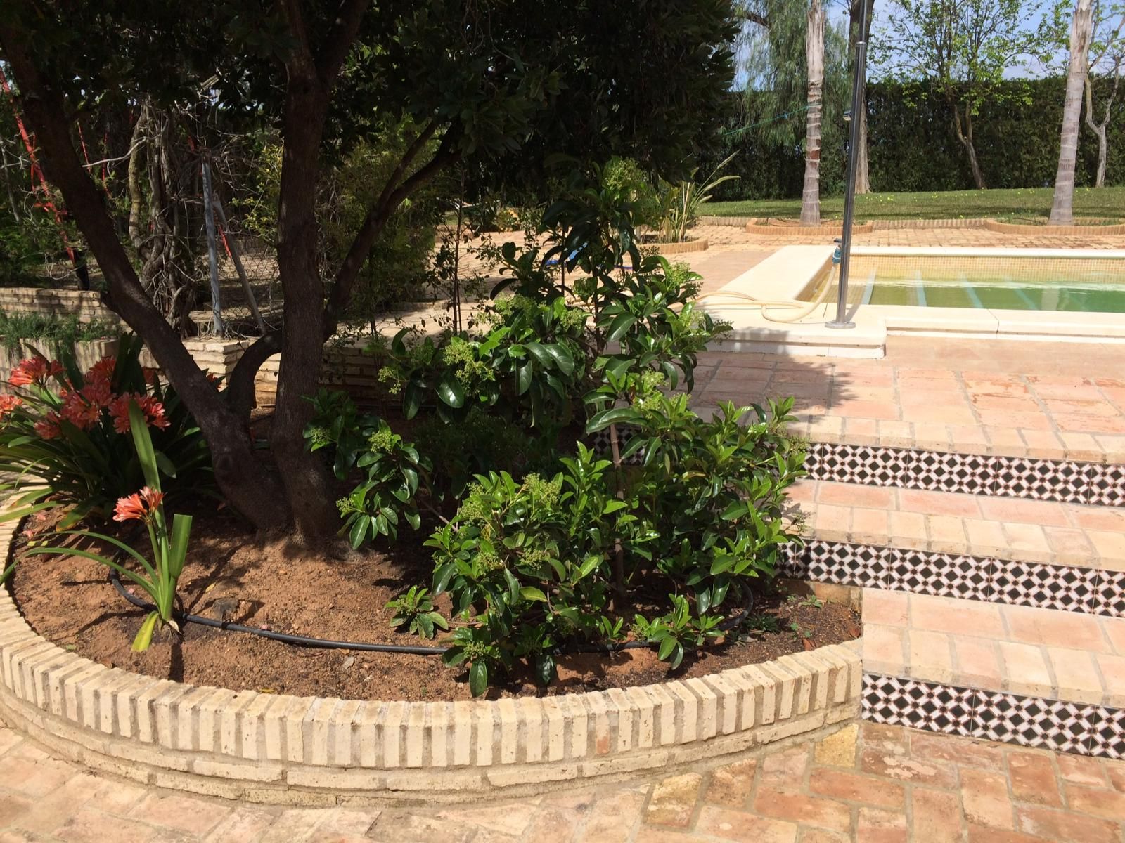 Reforma de jardín en La Teja — detalle 6