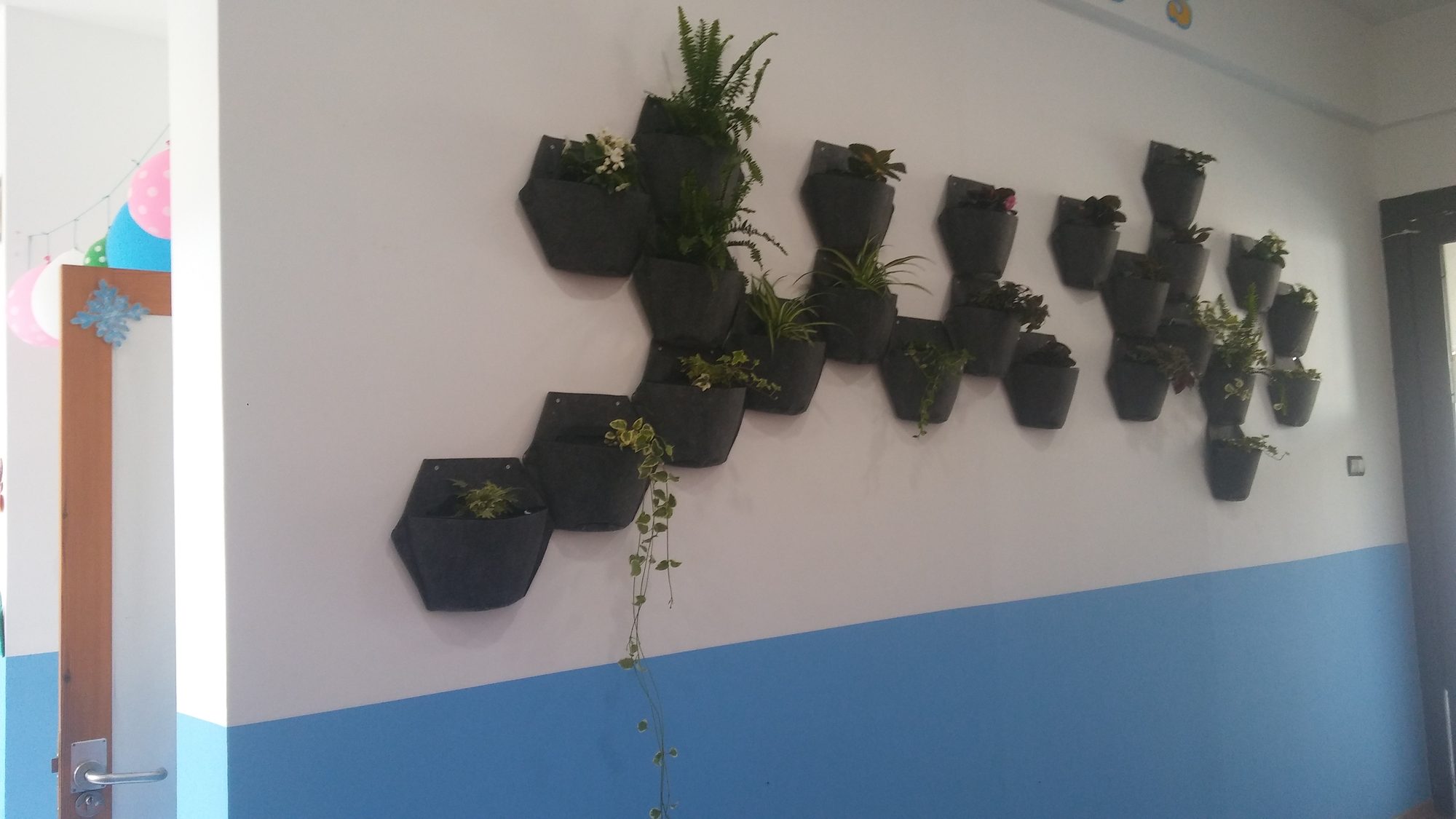 Jardín vertical en el CEIP Fábula · Sevilla (imagen 3)