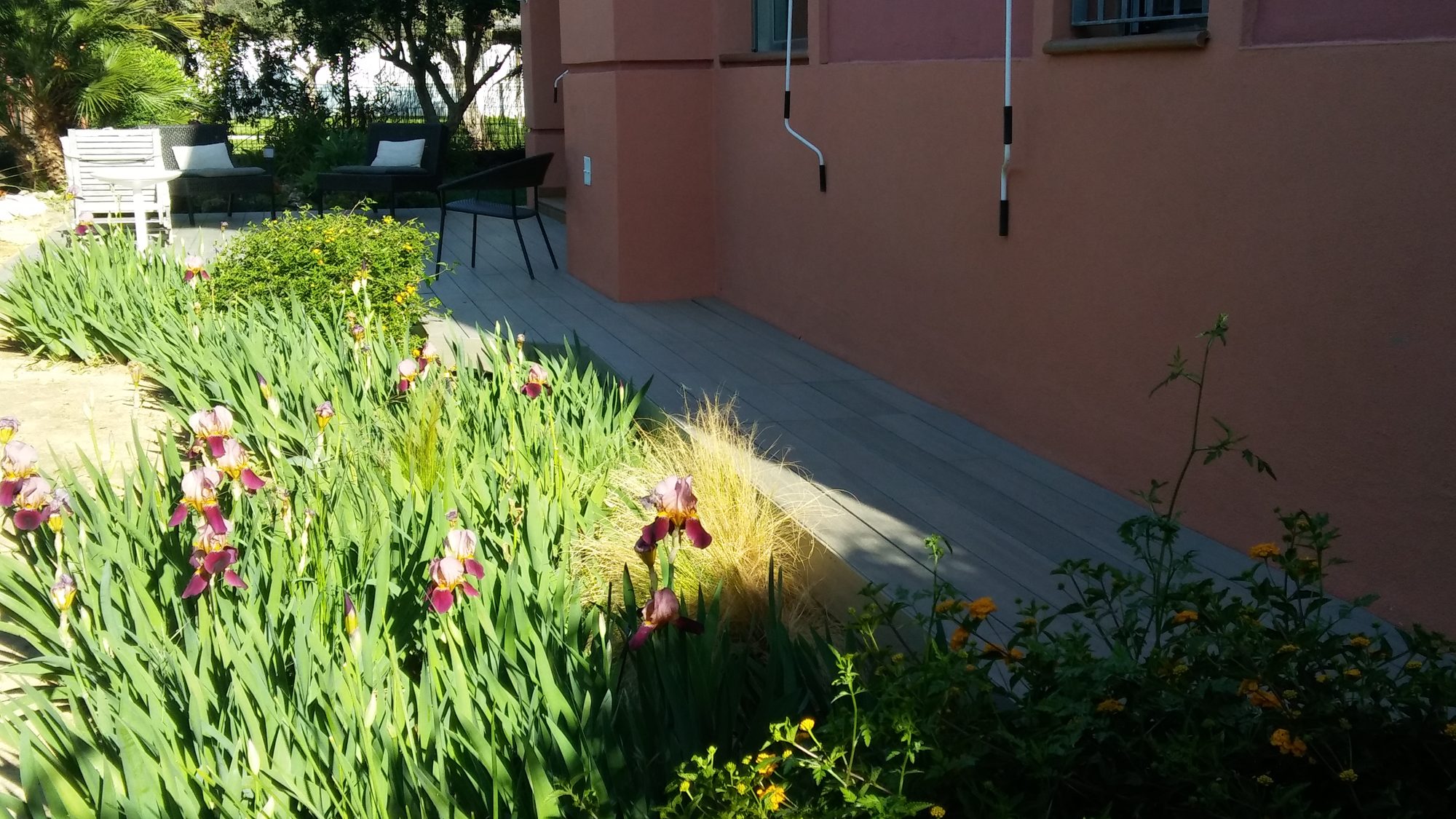 Reforma de jardín en Rosa de Luxemburgo — Tomares, Sevilla · fotografía 6