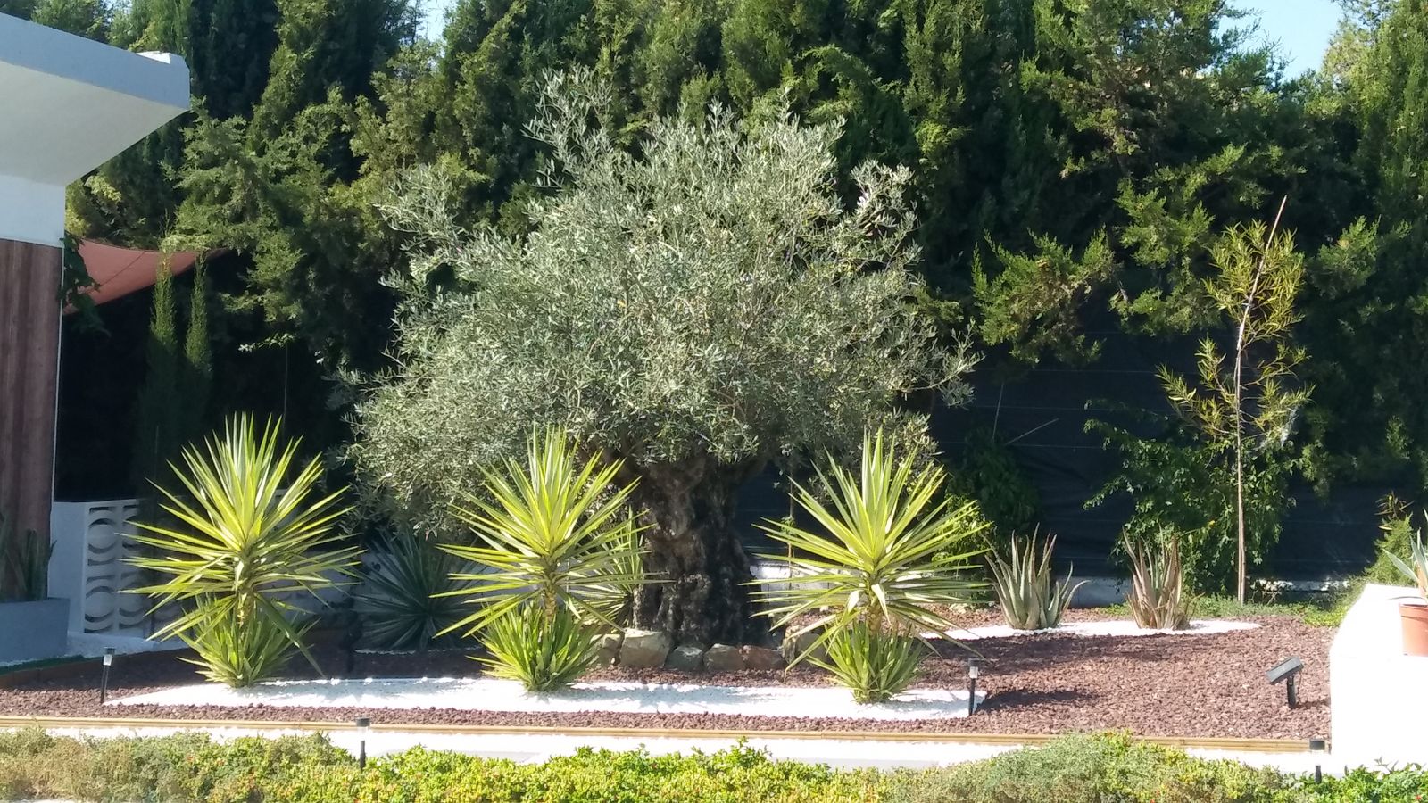 Jardín residencial en La Colina — detalle 4