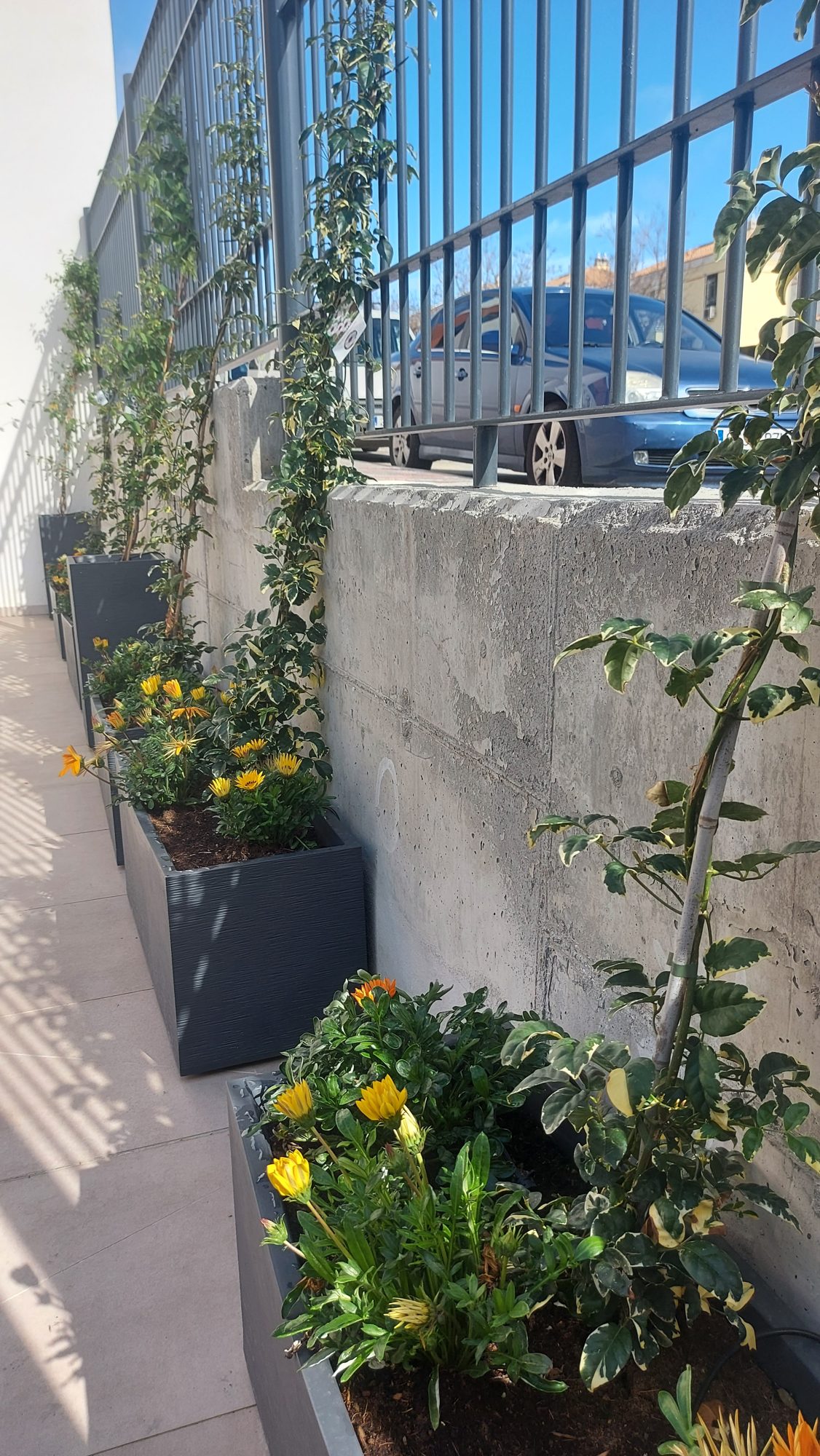 Jardín terapéutico Residencia Reifs — paisajismo de Verde Consciente en Sevilla (2)
