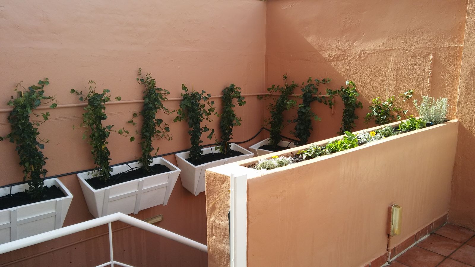 Patio andaluz en Tomares