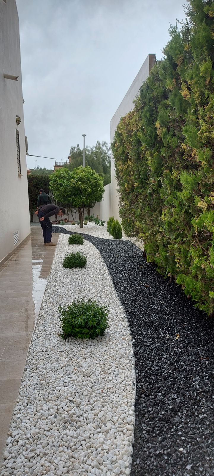 Renovación de jardín privado en Espartinas