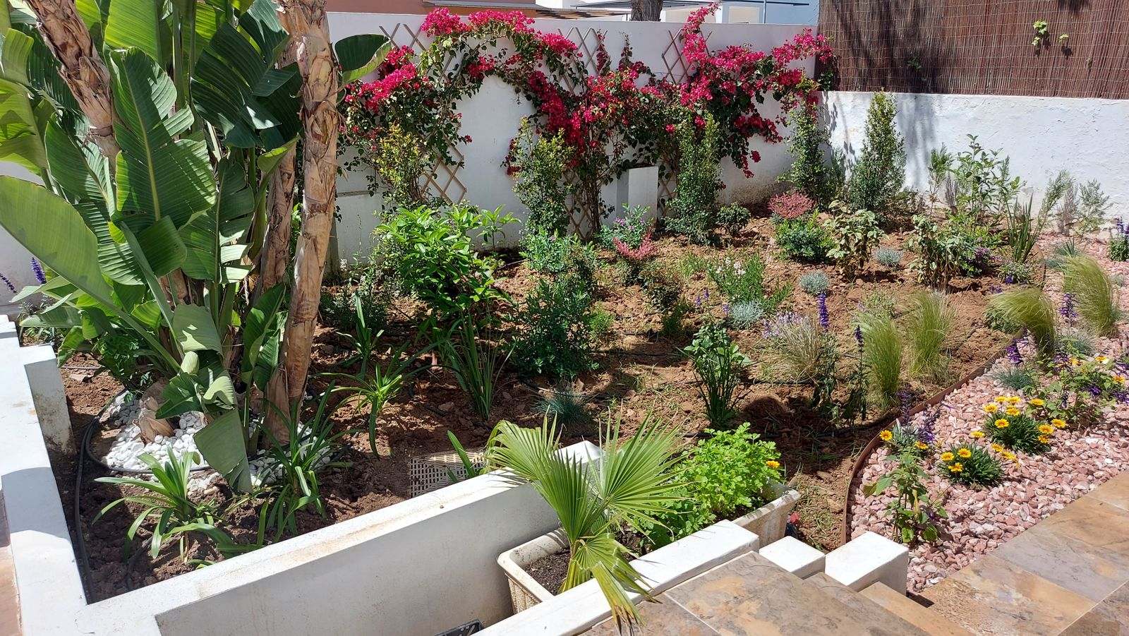 Jardín familiar con plantación naturalista en Espartinas — detalle 5