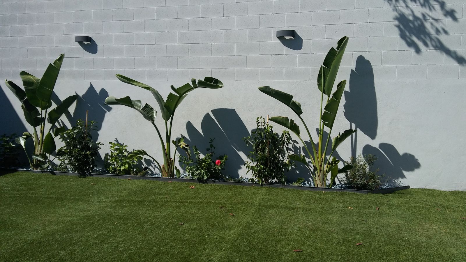 Jardín pequeño en Tomares — detalle 2