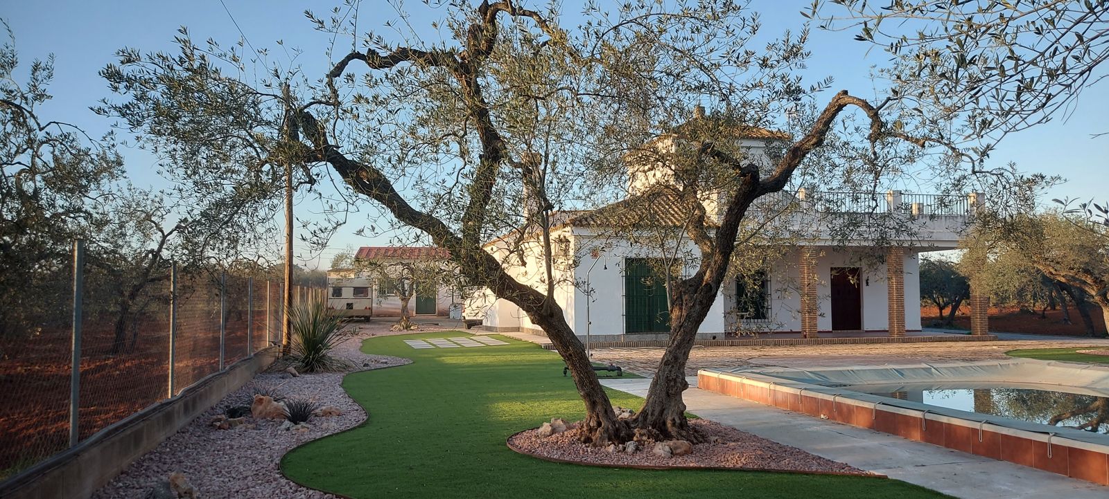 Jardín xerófilo entre olivos en Sanlúcar la Mayor — detalle 5
