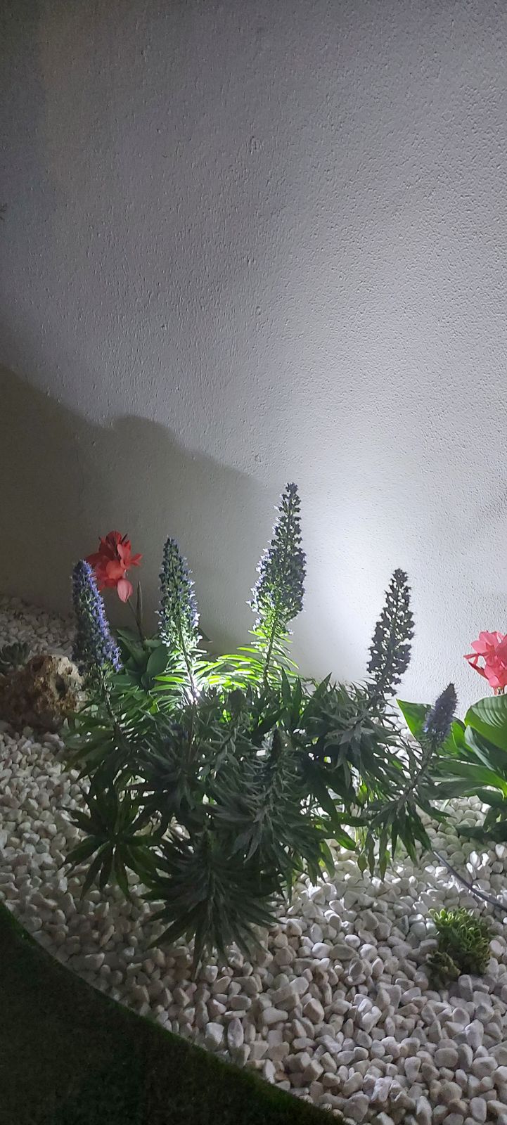Renovación de jardín privado en Espartinas — detalle 2
