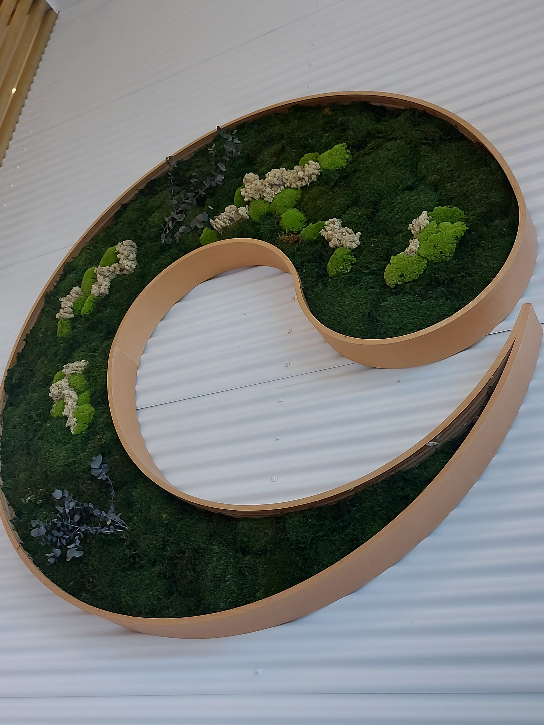 Muro vegetal preservado con musgo y vegetación estabilizada