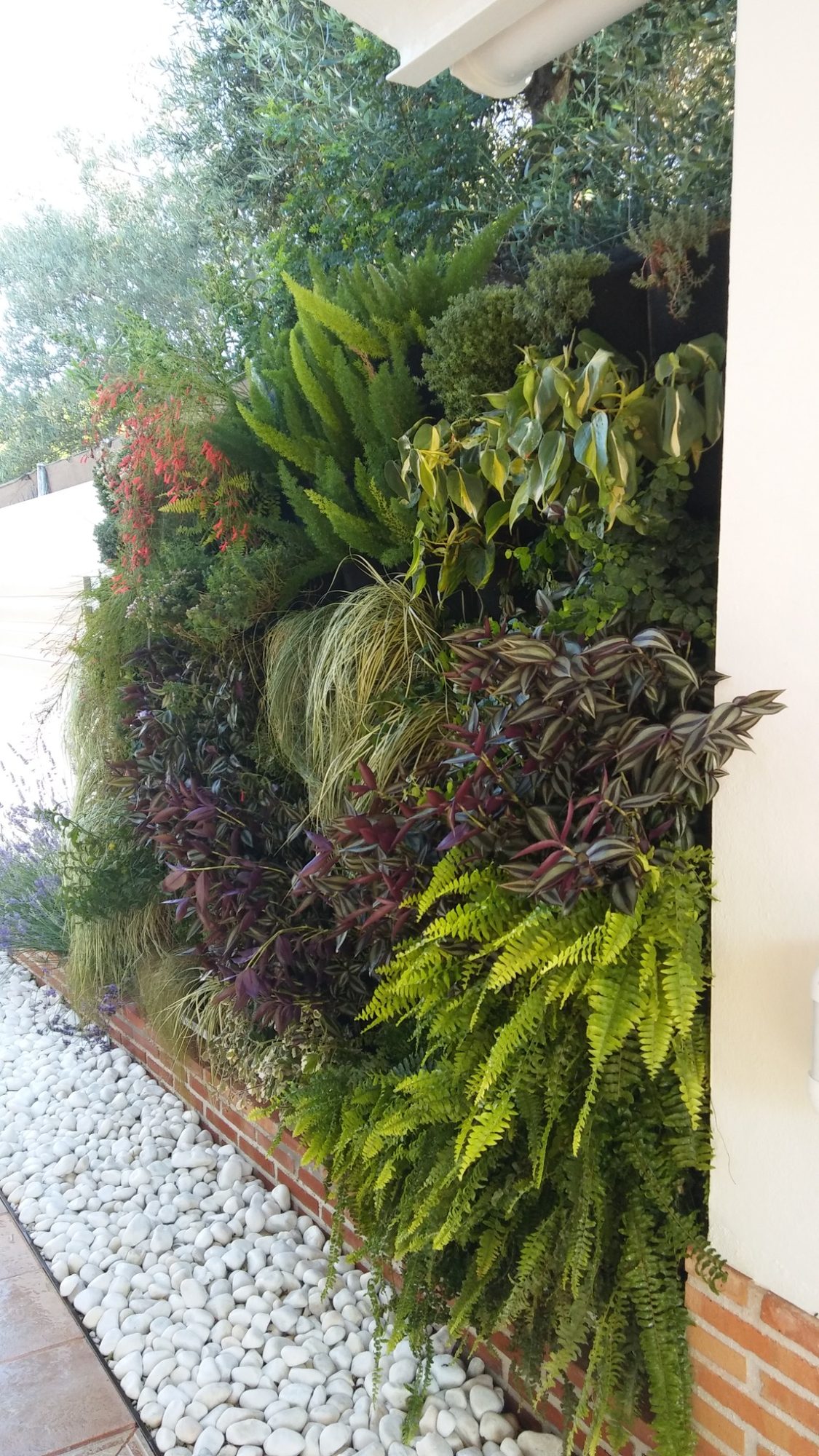 Jardín vertical en la Alquería de Almanzor · Espartinas, Sevilla (imagen 9)
