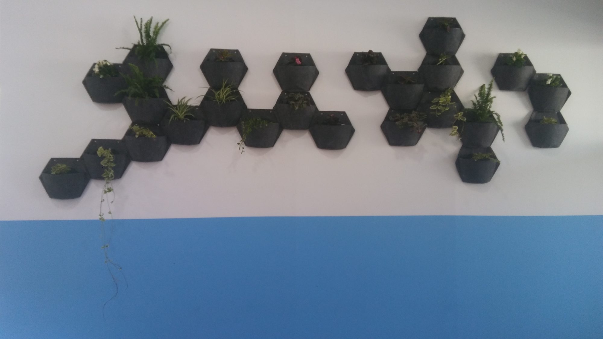 Jardín vertical en el CEIP Fábula · Sevilla (imagen 4)