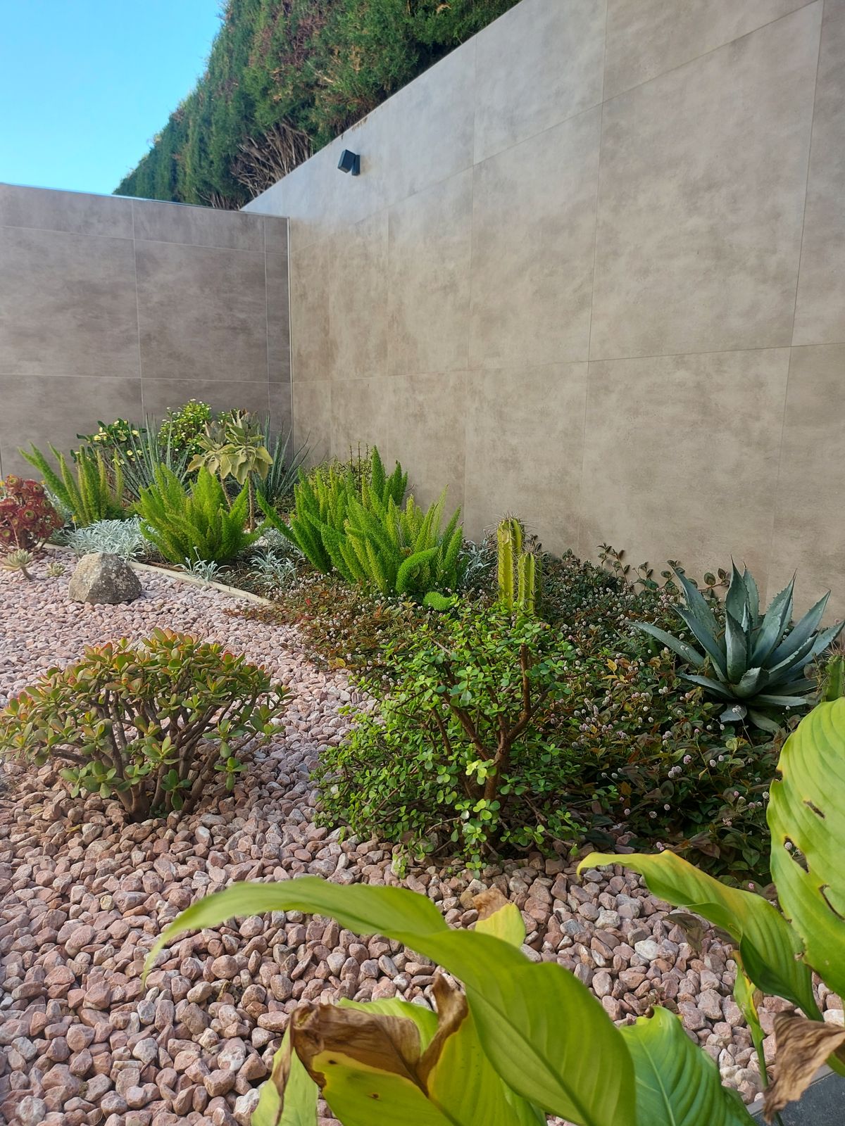 Jardín privado de carácter naturalista en el Aljarafe sevillano — detalle 6