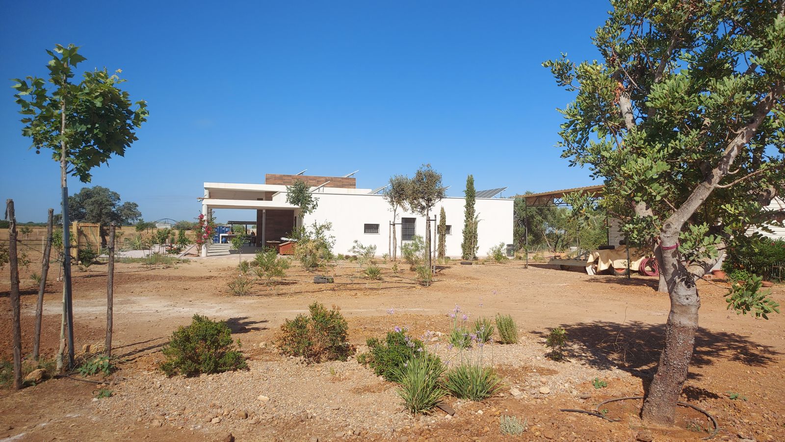 Paisajismo de finca rural en El Ventanar — detalle 2