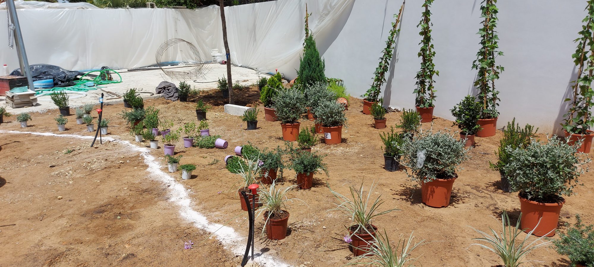 Jardín mediterráneo en Cantera Blanca — Camas, Sevilla · fotografía 11