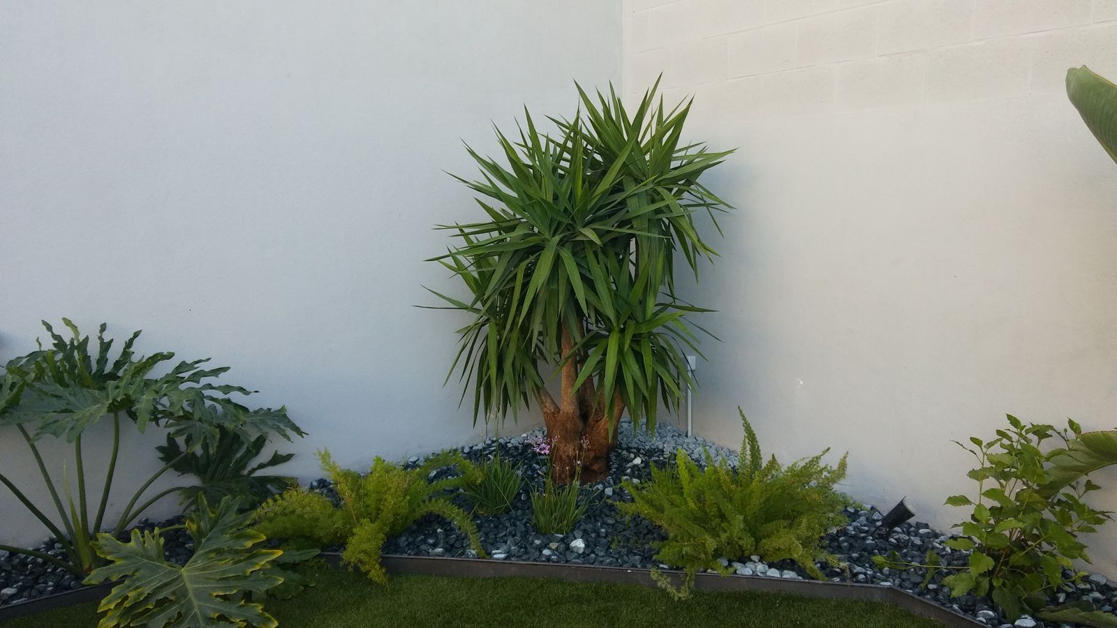 Jardín pequeño en Tomares