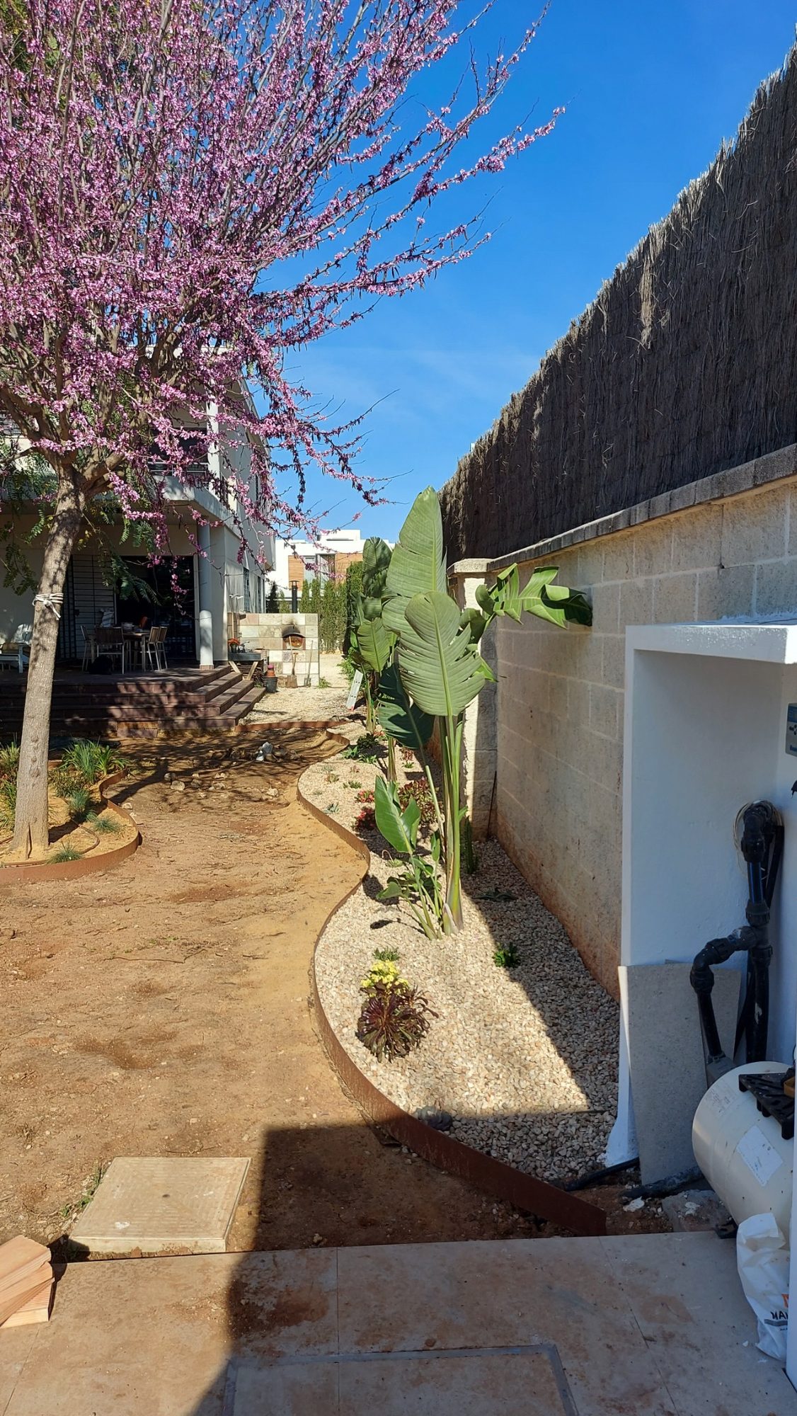 Renovar un jardín consolidado en Dos Hermanas · Dos Hermanas, Sevilla (imagen 5)
