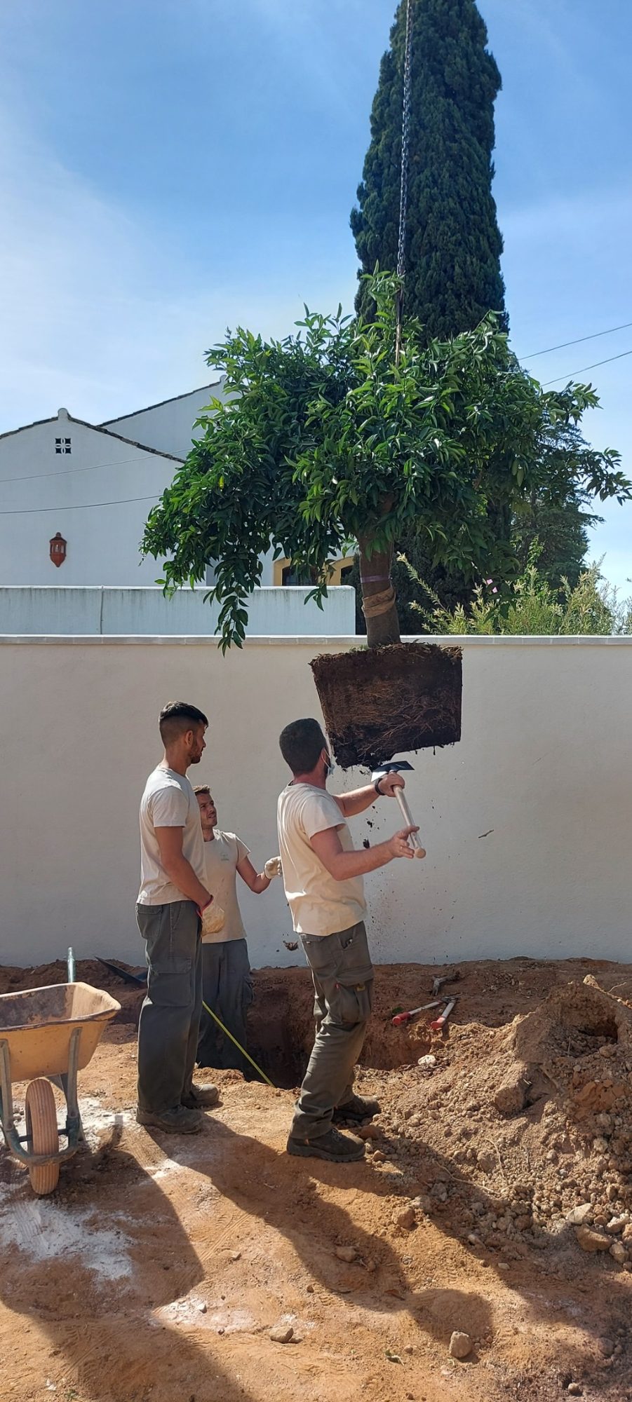 Jardín en los Villares Altos — Tomares, Sevilla · fotografía 6