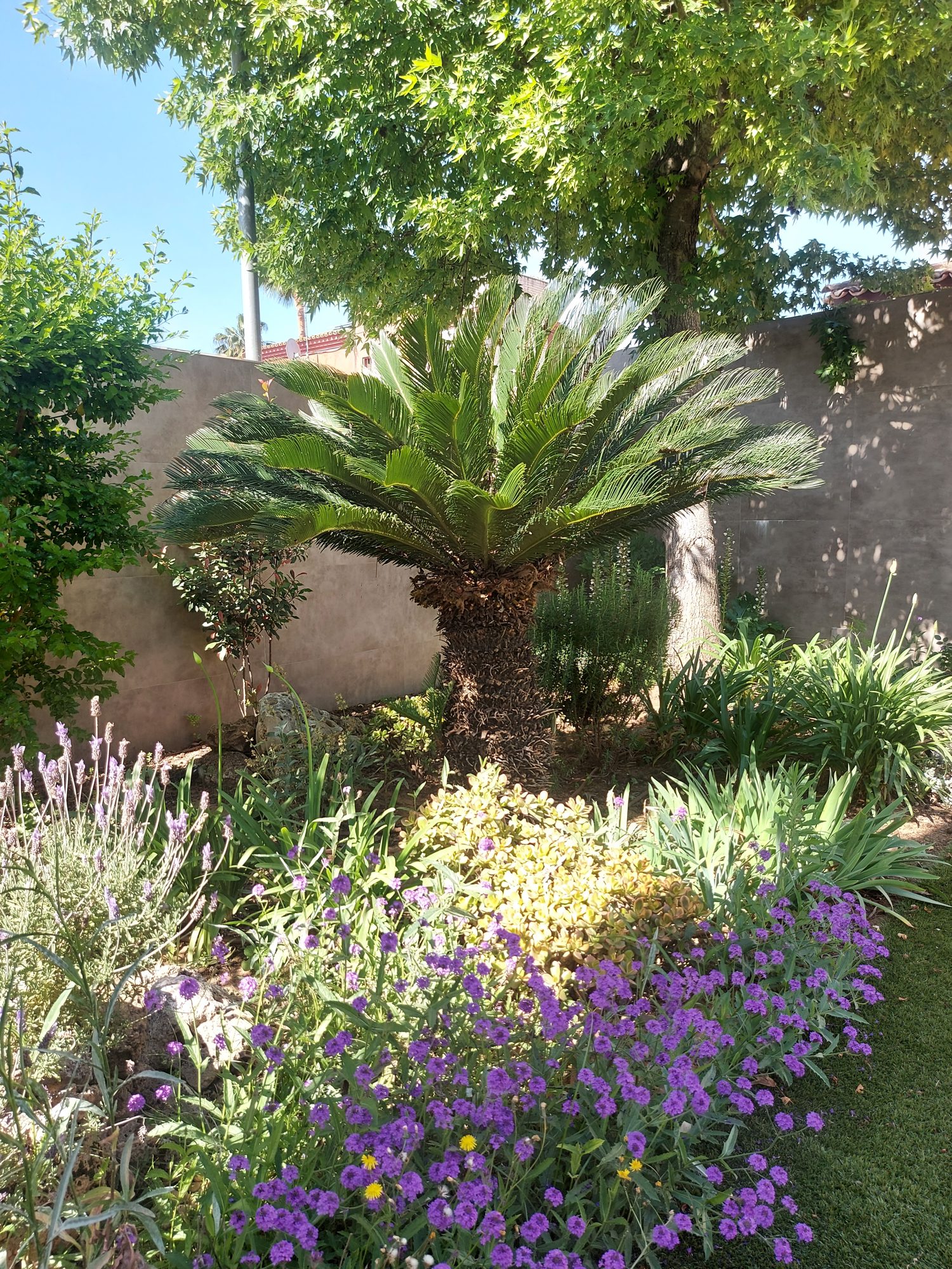 Jardín privado de carácter naturalista en el Aljarafe sevillano — Espartinas, Sevilla · fotografía 5