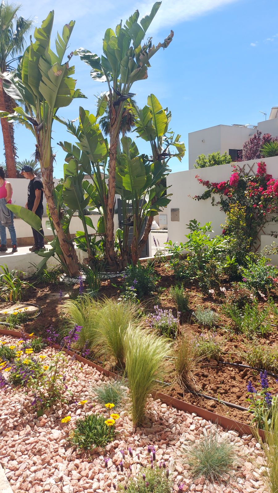 Jardín familiar con plantación naturalista en Espartinas — detalle 6