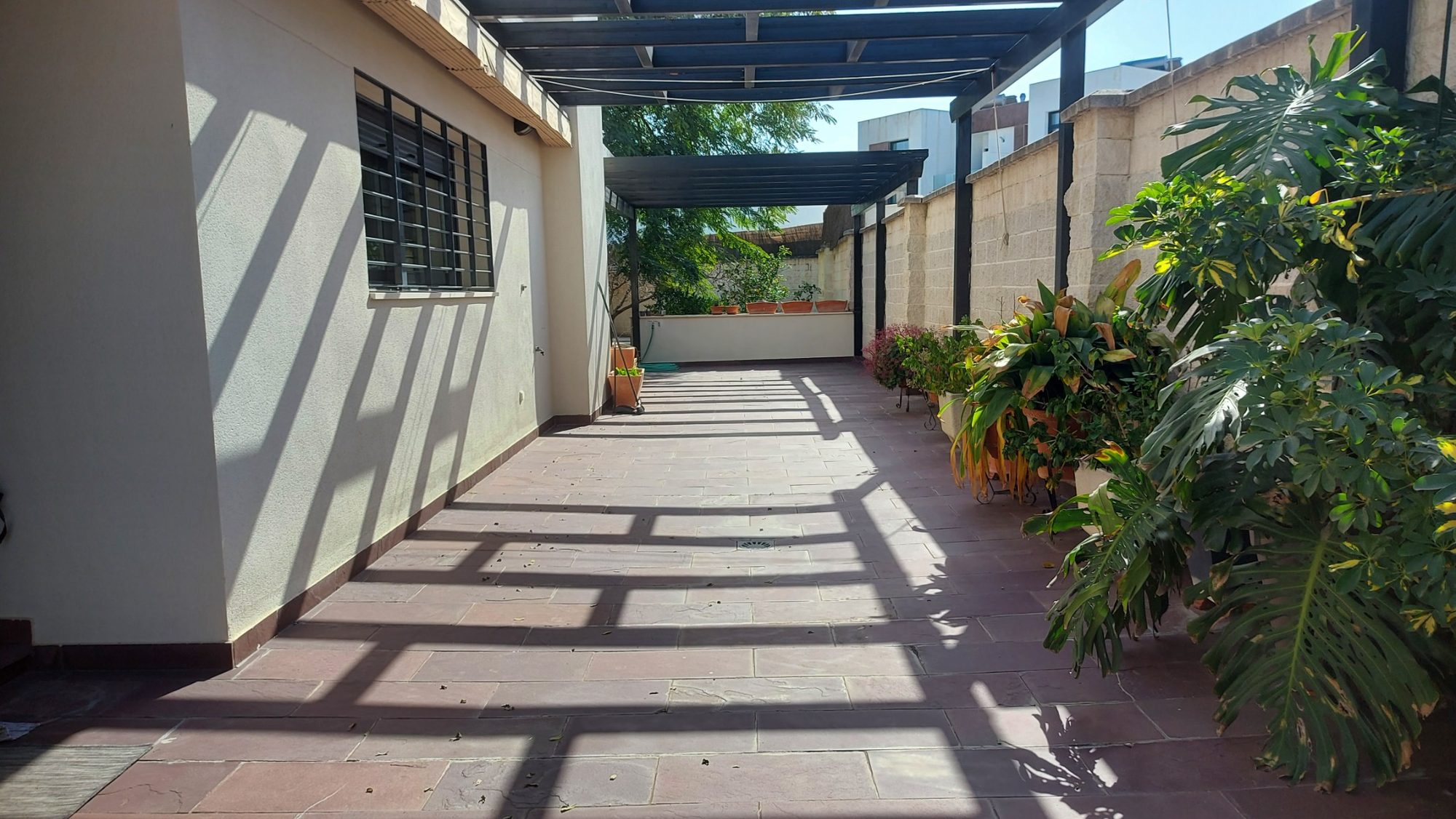Renovar un jardín consolidado en Dos Hermanas · Dos Hermanas, Sevilla (imagen 4)