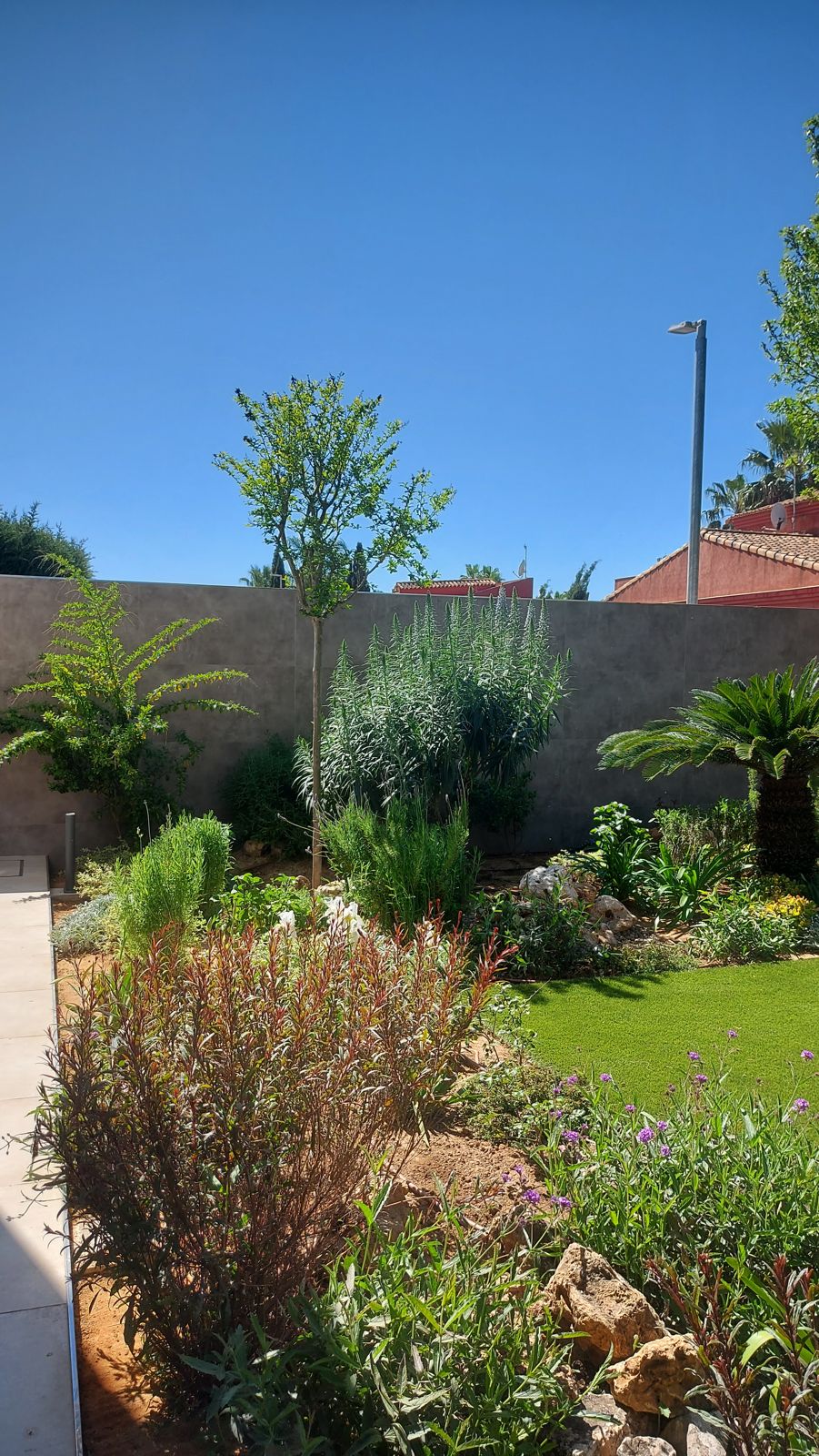 Jardín privado de carácter naturalista en el Aljarafe sevillano — detalle 2