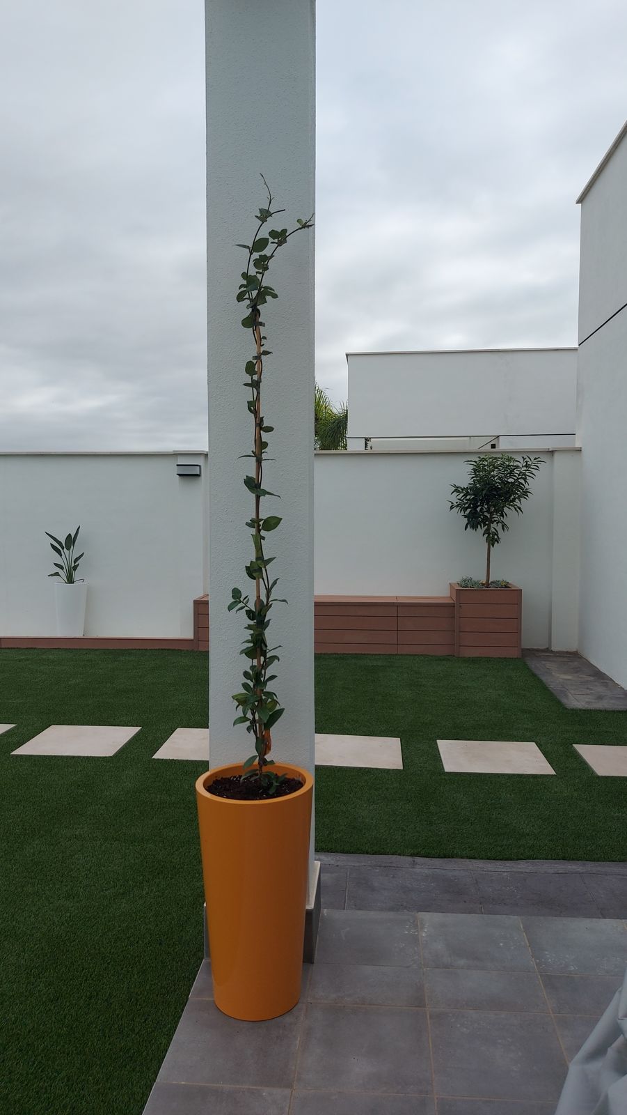 Jardín contemporáneo en Alcalá de Guadaíra — detalle 8