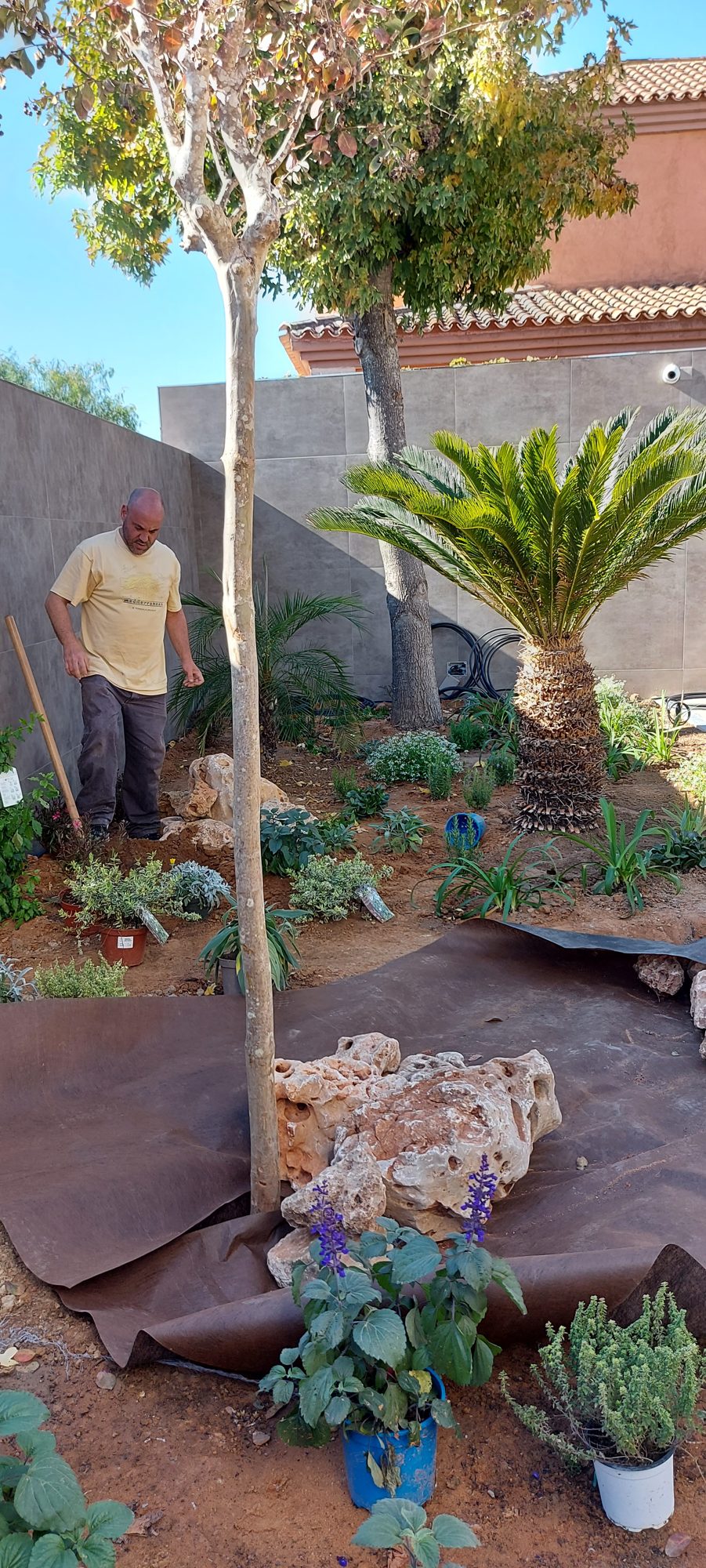 Jardín privado de carácter naturalista en el Aljarafe sevillano — Espartinas, Sevilla · fotografía 9