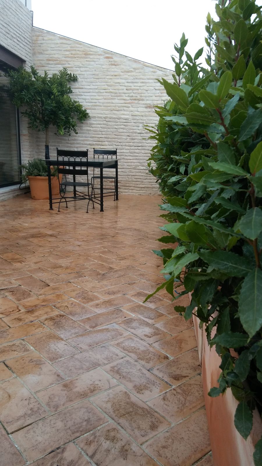 Patio urbano en Abad Gordillo — detalle 3