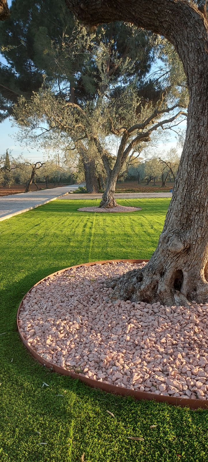 Jardín xerófilo entre olivos en Sanlúcar la Mayor — detalle 3