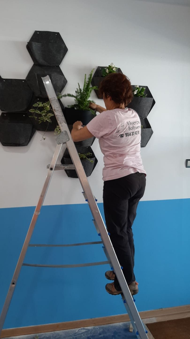 Jardín vertical en el CEIP Fábula · Sevilla (imagen 5)