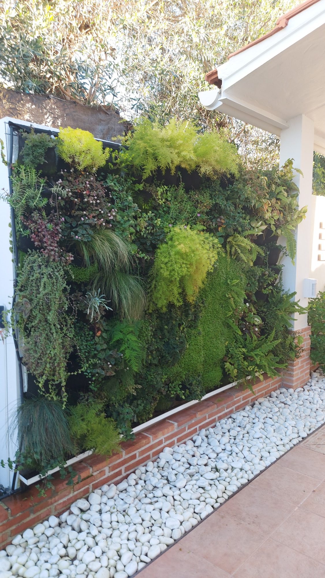 Jardín vertical en la Alquería de Almanzor · Espartinas, Sevilla (imagen 8)