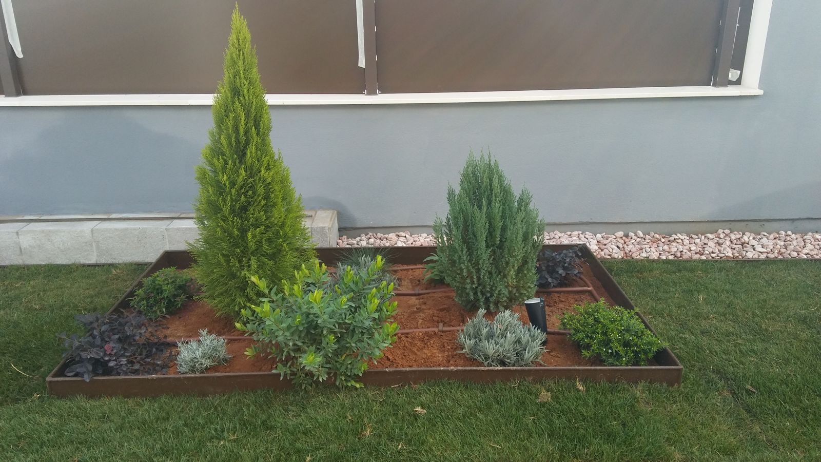Jardín contemporáneo en Entrenúcleos — detalle 6