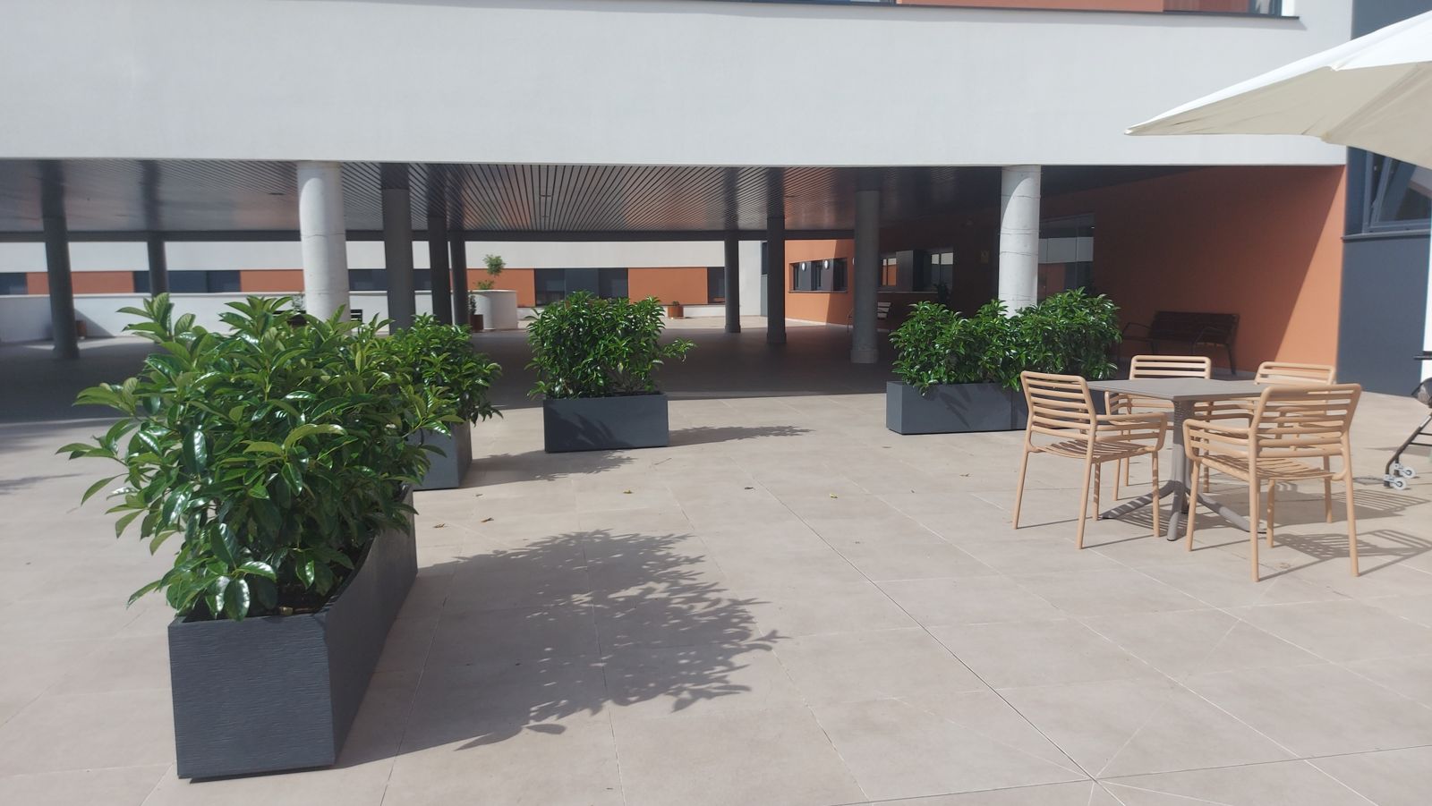 Jardín terapéutico Residencia Reifs — detalle 2