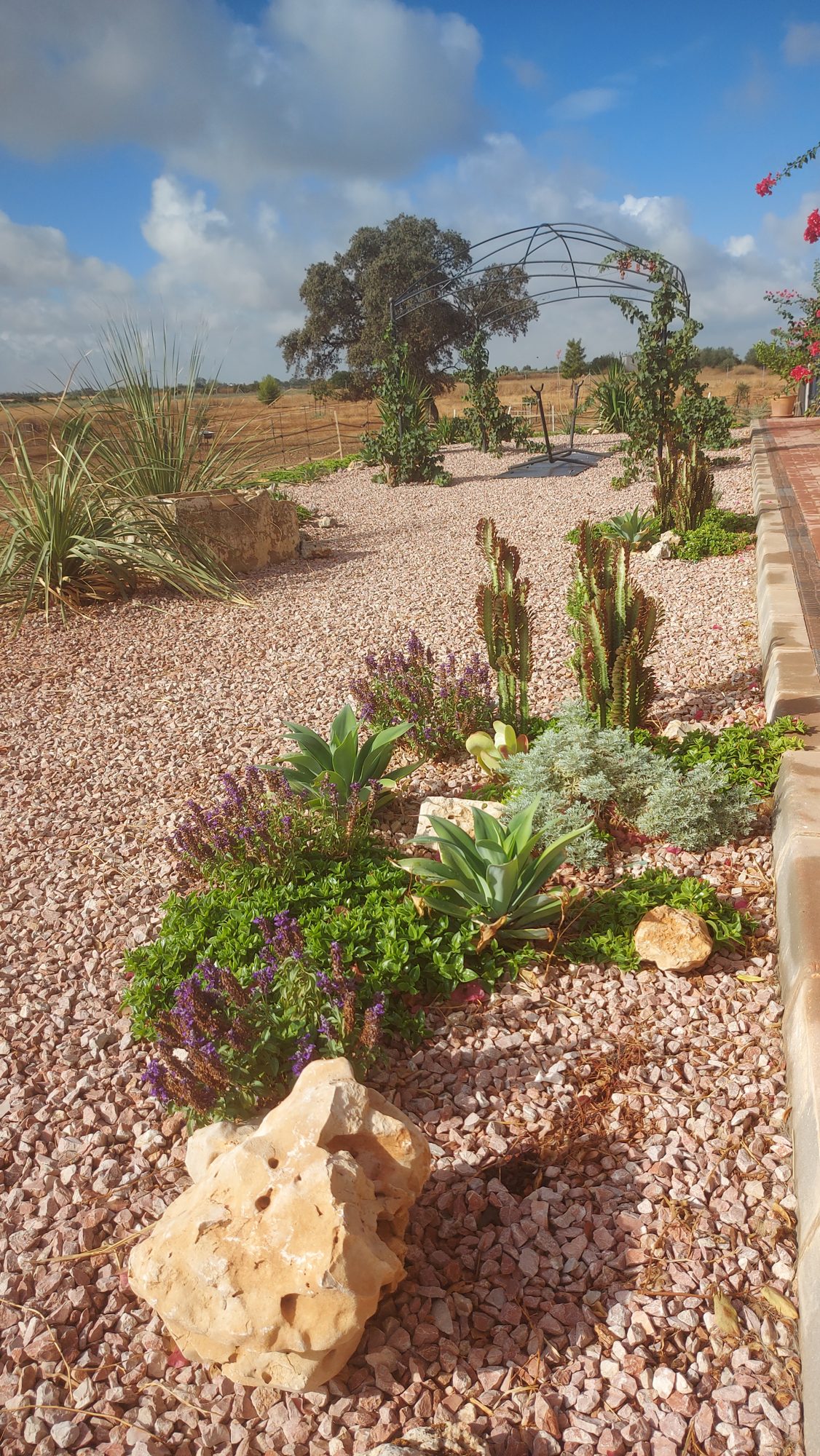 Paisajismo de finca rural en El Ventanar — Carmona, Sevilla · fotografía 3
