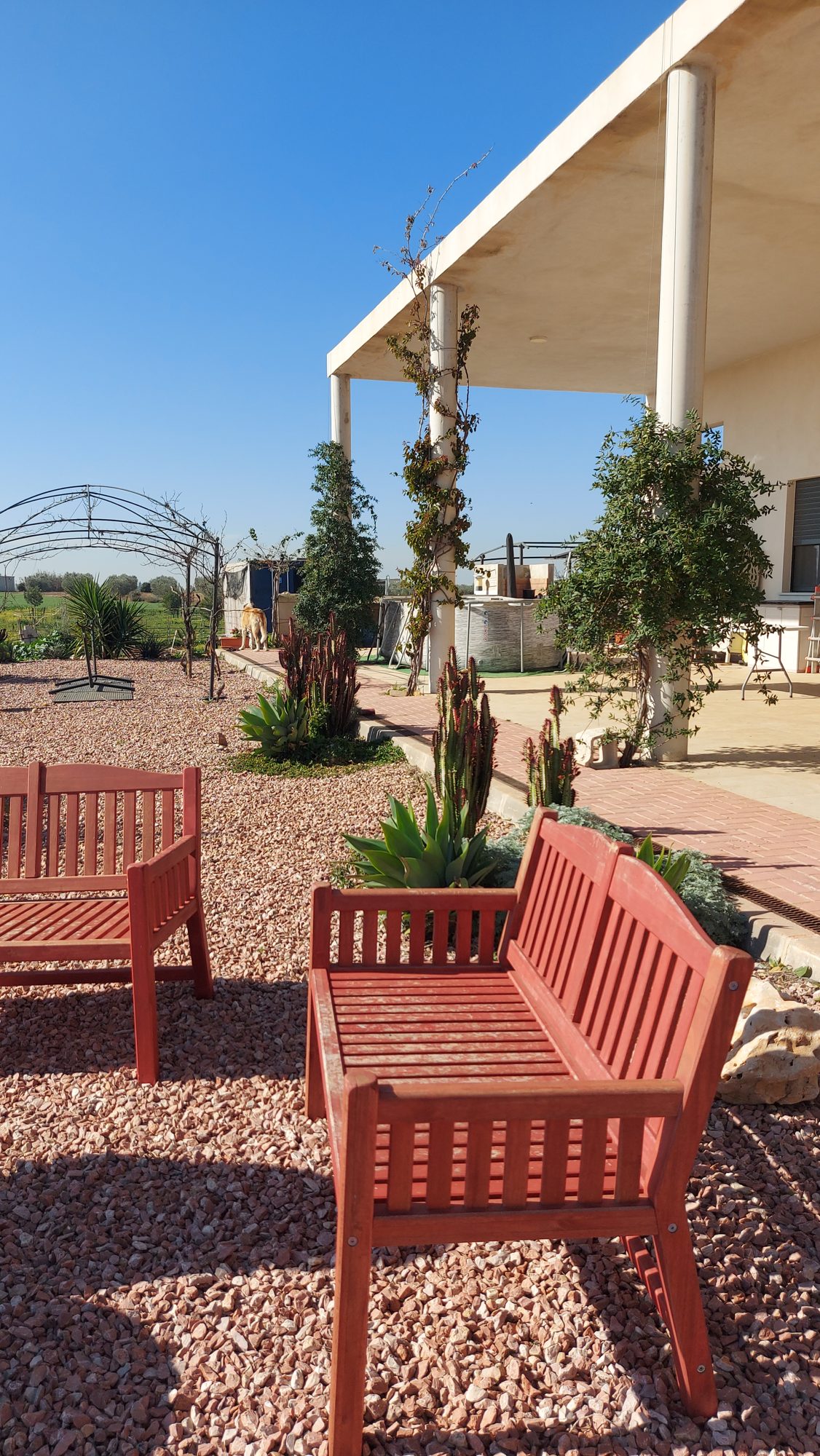 Paisajismo de finca rural en El Ventanar — Carmona, Sevilla · fotografía 5