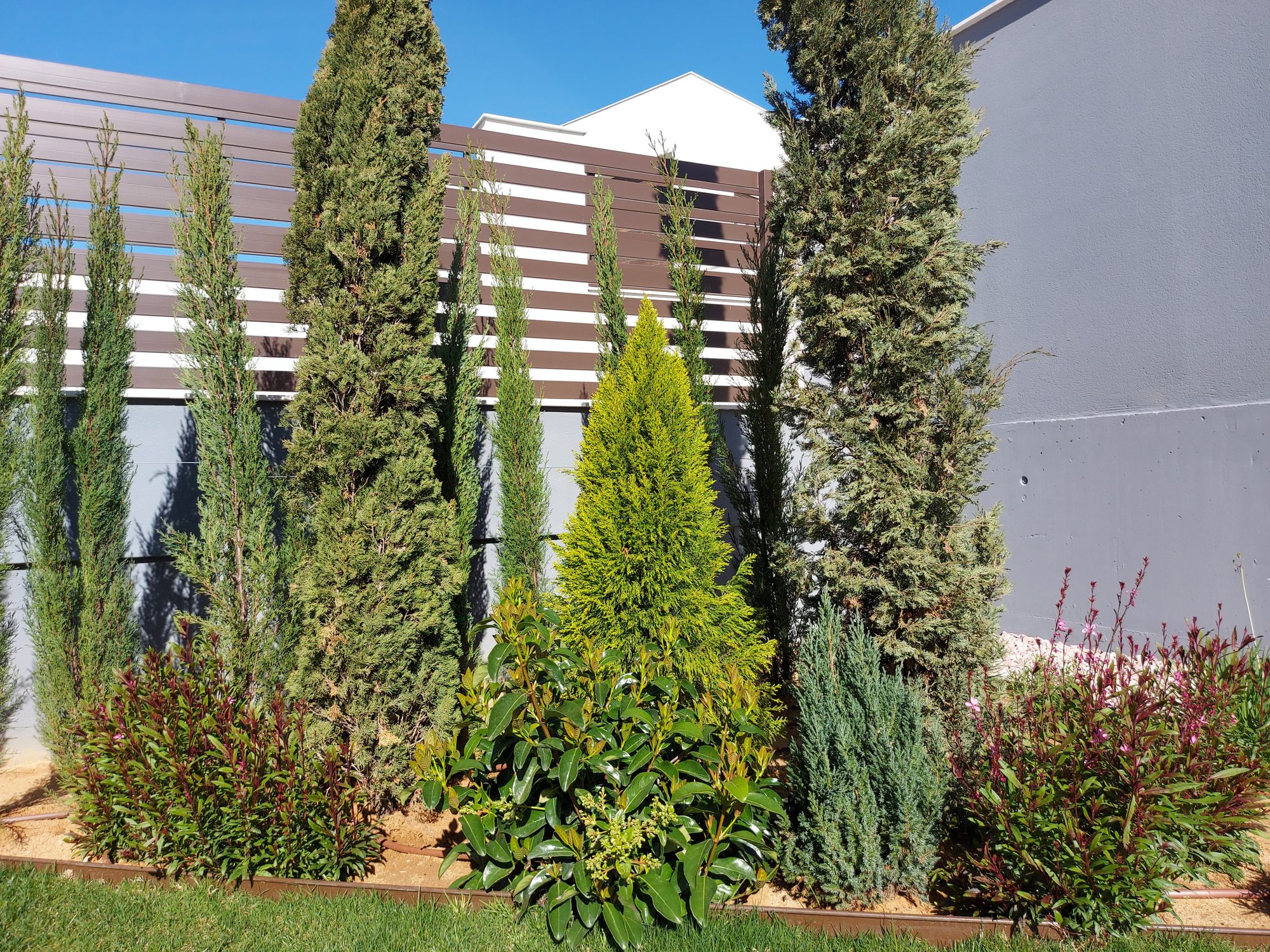 Jardín contemporáneo en Entrenúcleos — Dos Hermanas, Sevilla · fotografía 4