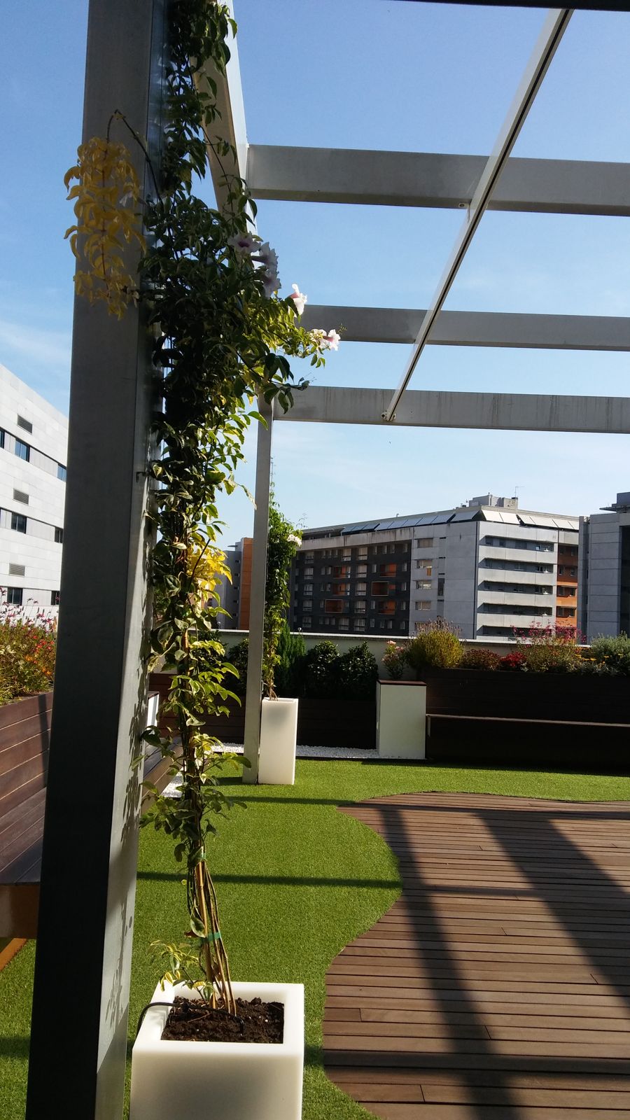 Oficinas ODF Insur — detalle 10