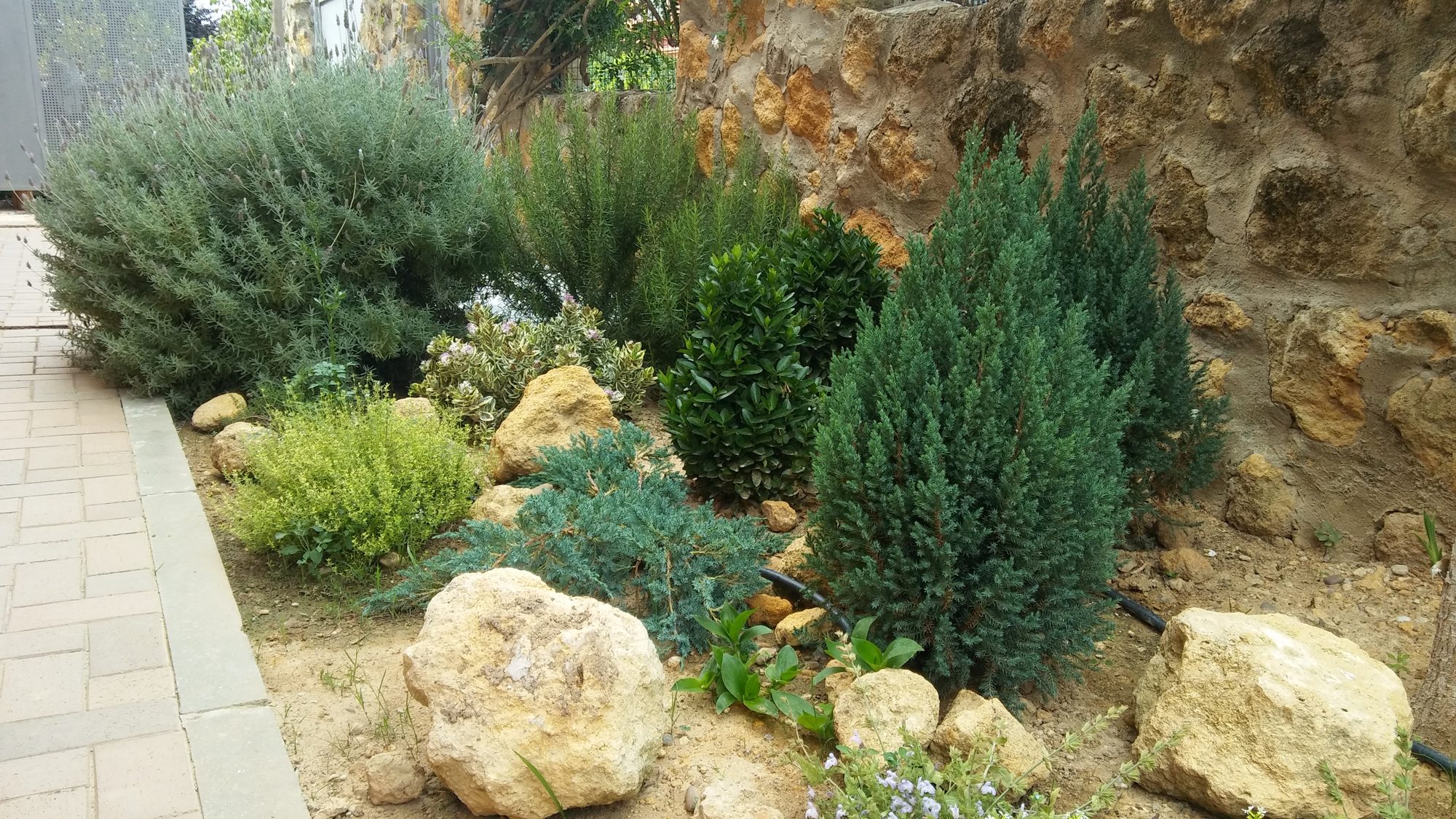 Reforma de jardín en Trece Rosas — Tomares, Sevilla · fotografía 1