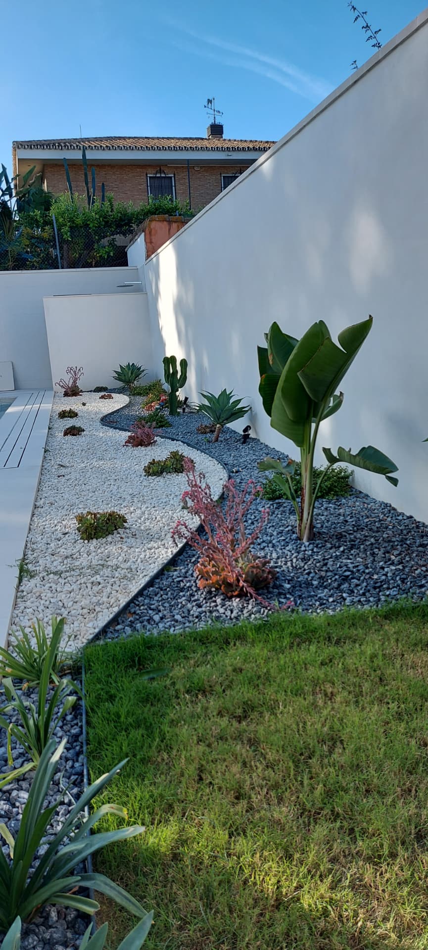 Xerojardín con grava bicolor, cactus y suculentas diseñado por Verde Consciente en Sevilla
