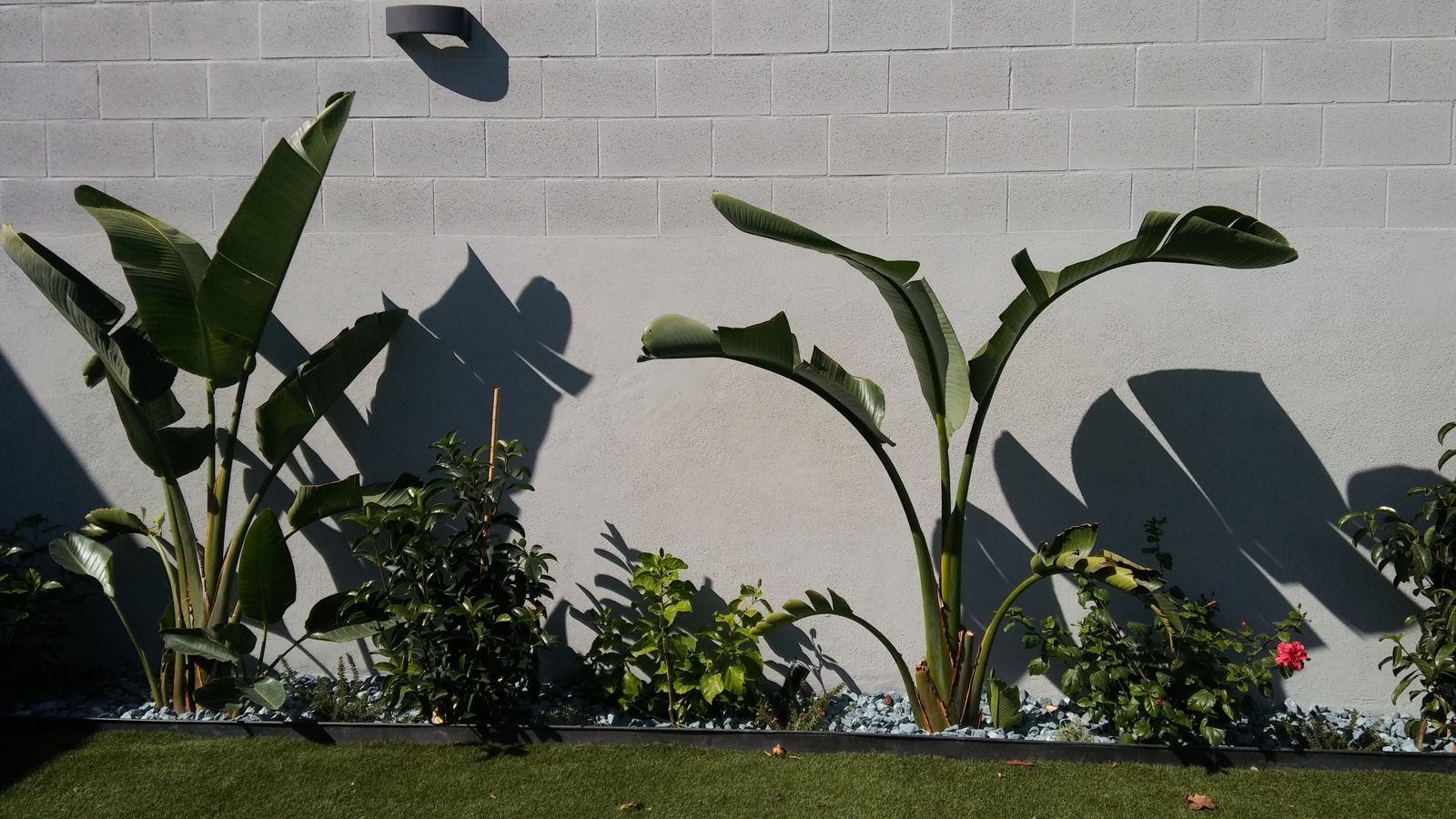 Jardín pequeño en Tomares — detalle 3
