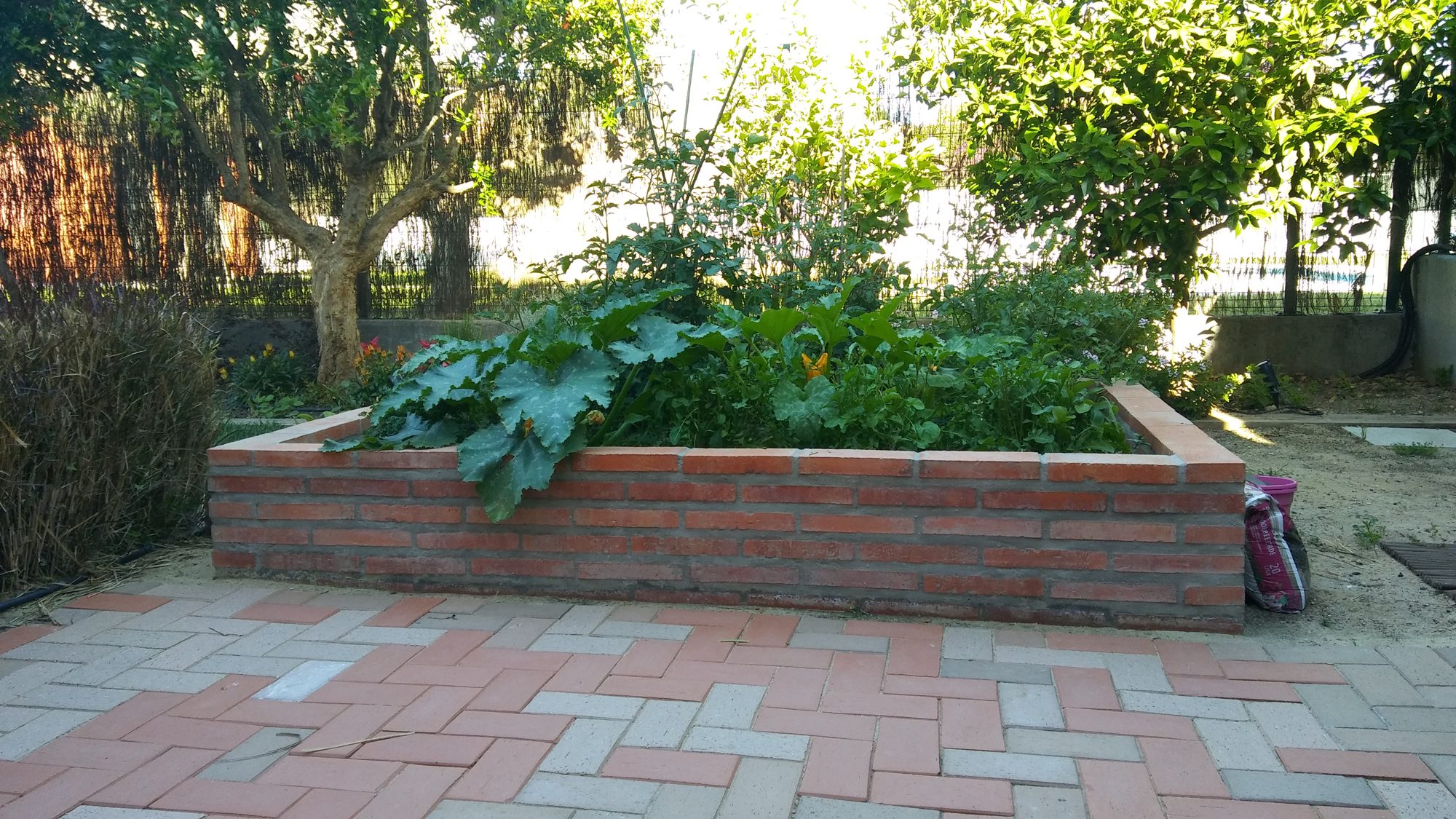Reforma de jardín en Rosa de Luxemburgo — Tomares, Sevilla · fotografía 2