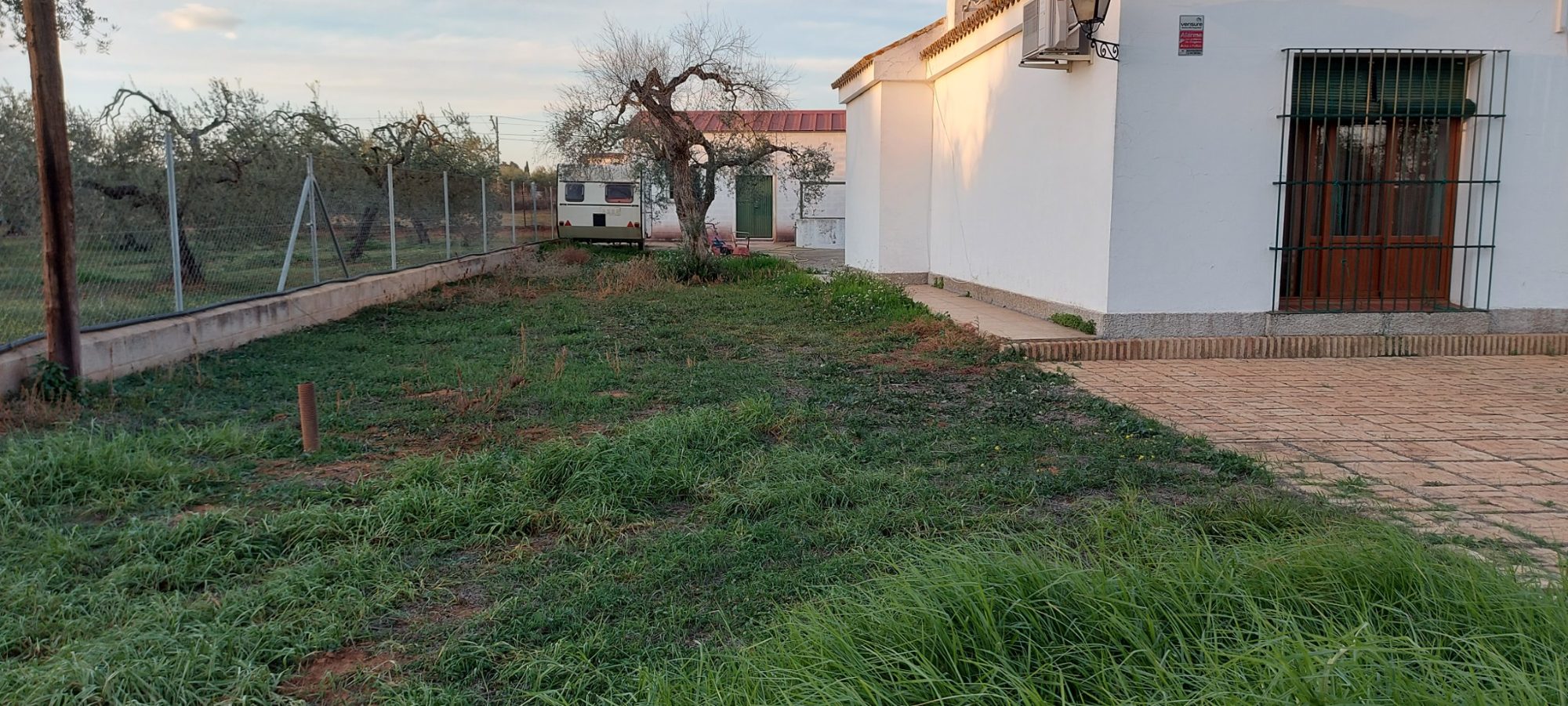 Jardín xerófilo entre olivos en Sanlúcar la Mayor — Sanlúcar la Mayor, Sevilla · fotografía 4