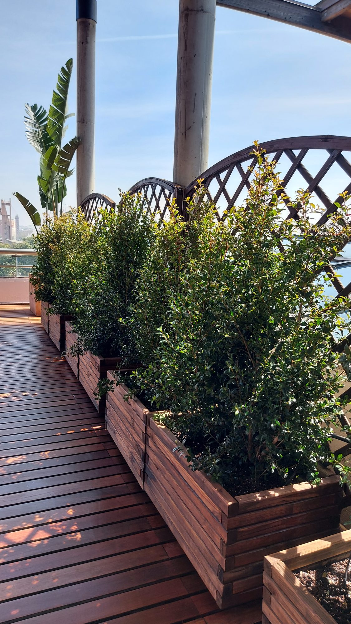 Espacio corporativo ADM — paisajismo de Verde Consciente en Sevilla (5)