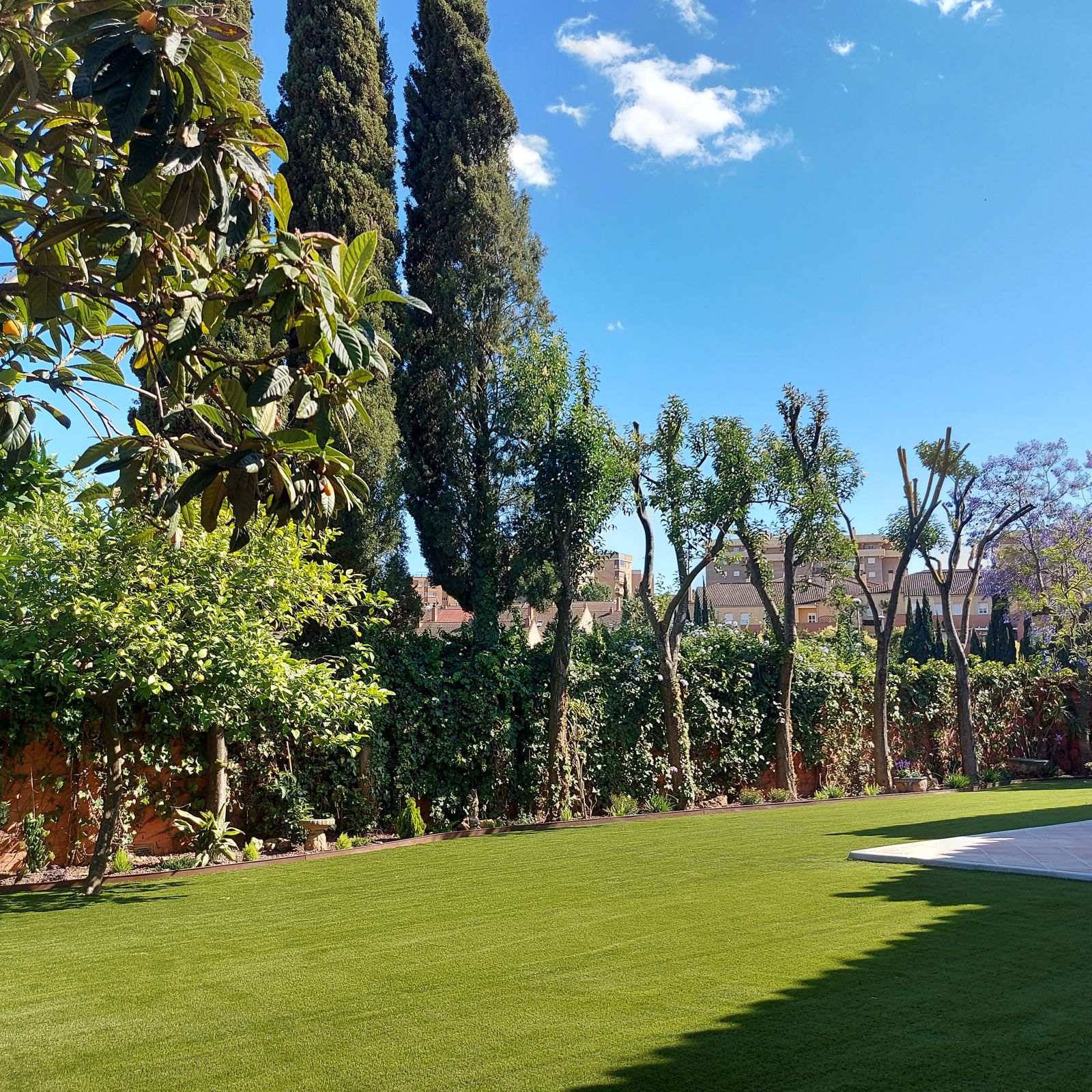 Transformación de jardín particular en Colina Blanca — detalle 5
