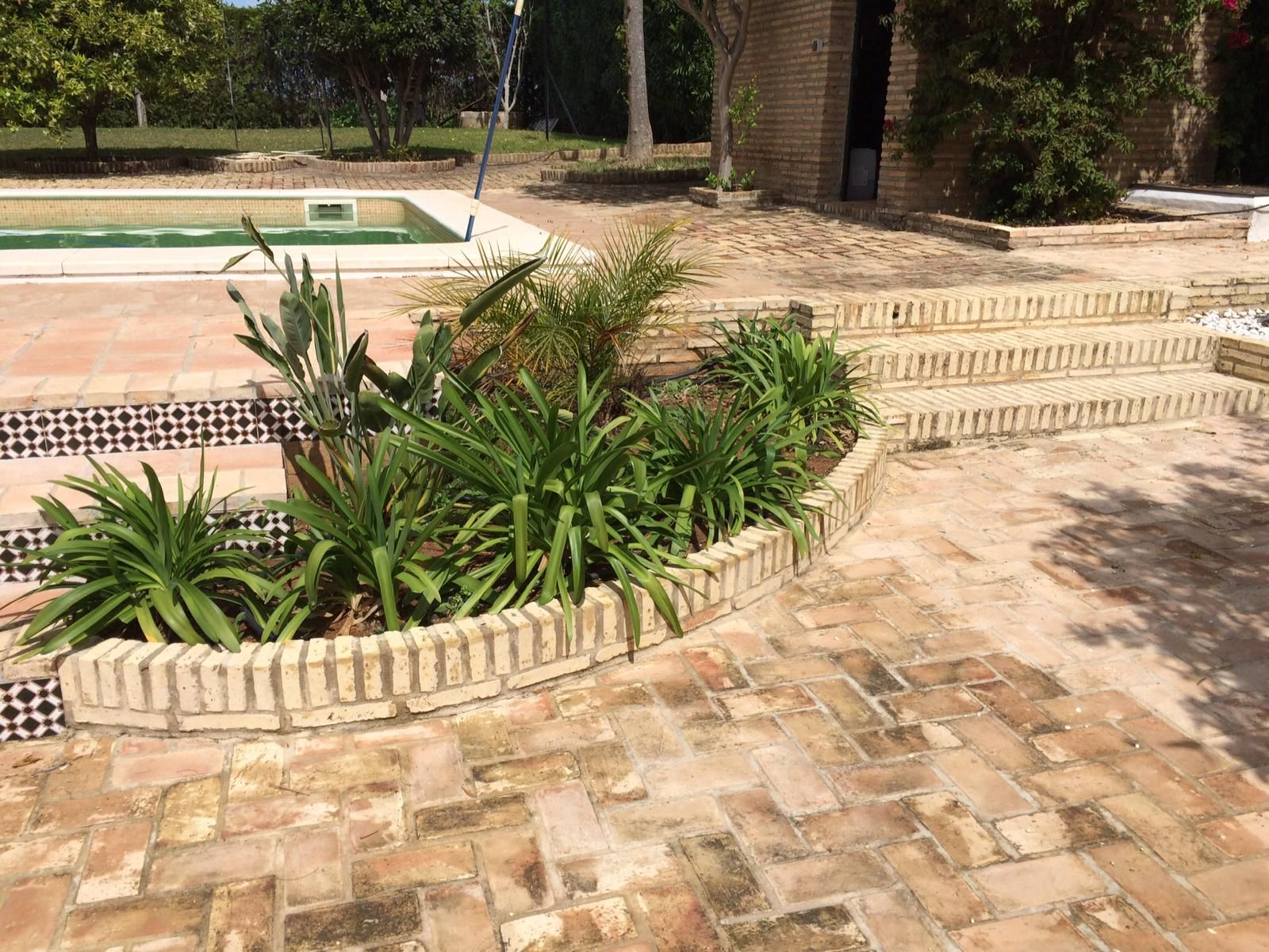 Reforma de jardín en La Teja — detalle 5