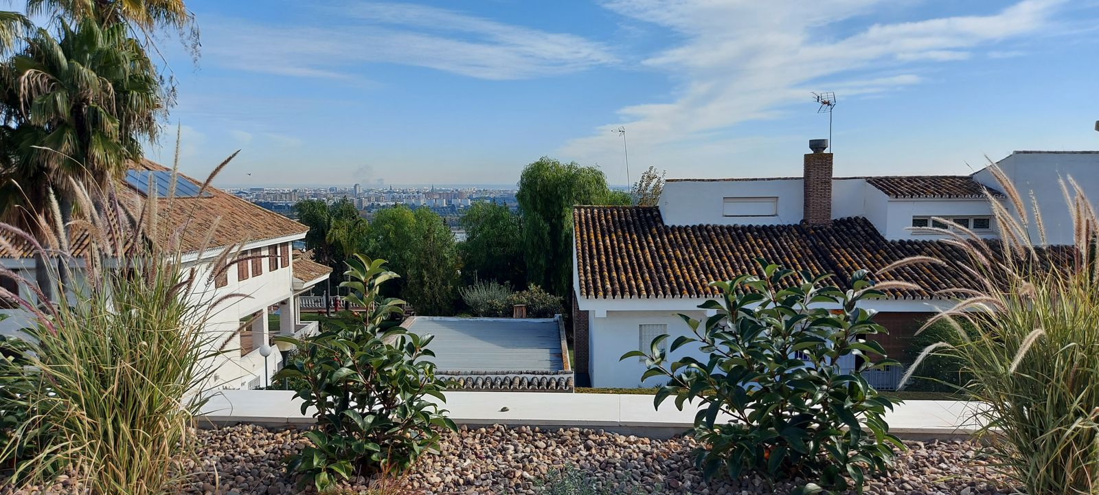 Jardín en los Villares Altos — detalle 4