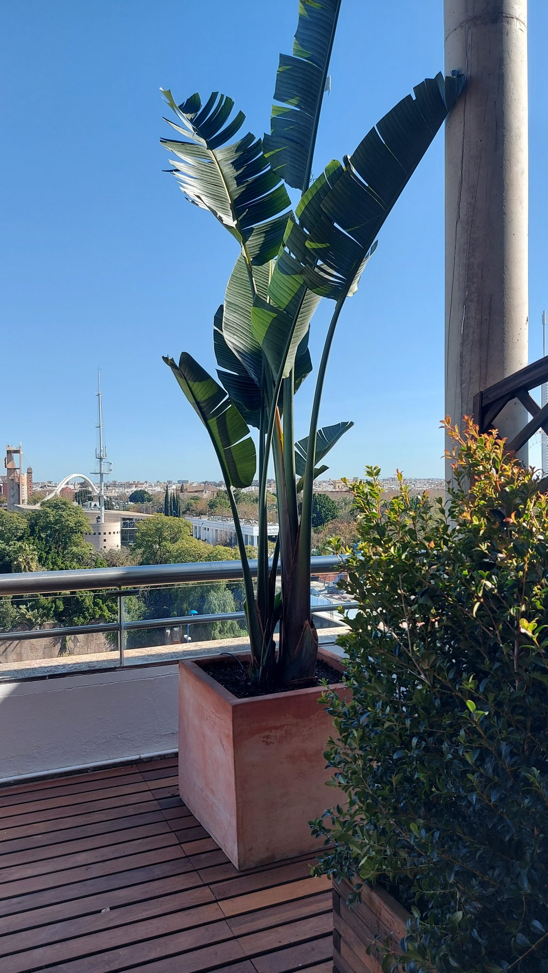 Espacio corporativo ADM — paisajismo de Verde Consciente en Sevilla (1)