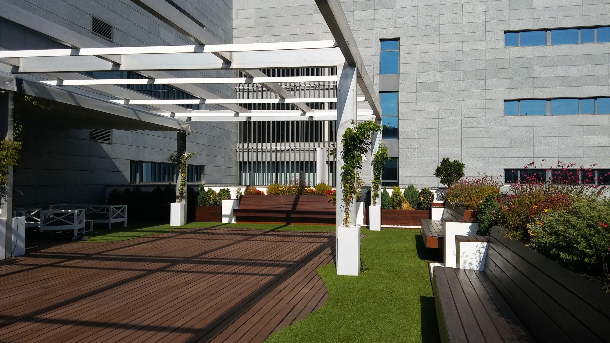 Oficinas ODF Insur — paisajismo de Verde Consciente en Sevilla (4)