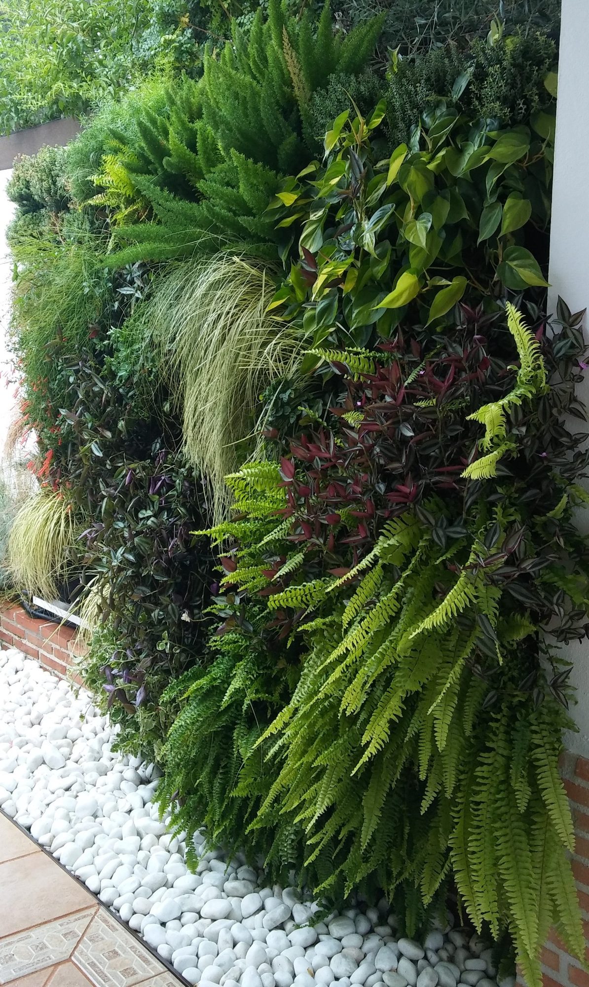 Jardín vertical en la Alquería de Almanzor · Espartinas, Sevilla (imagen 4)