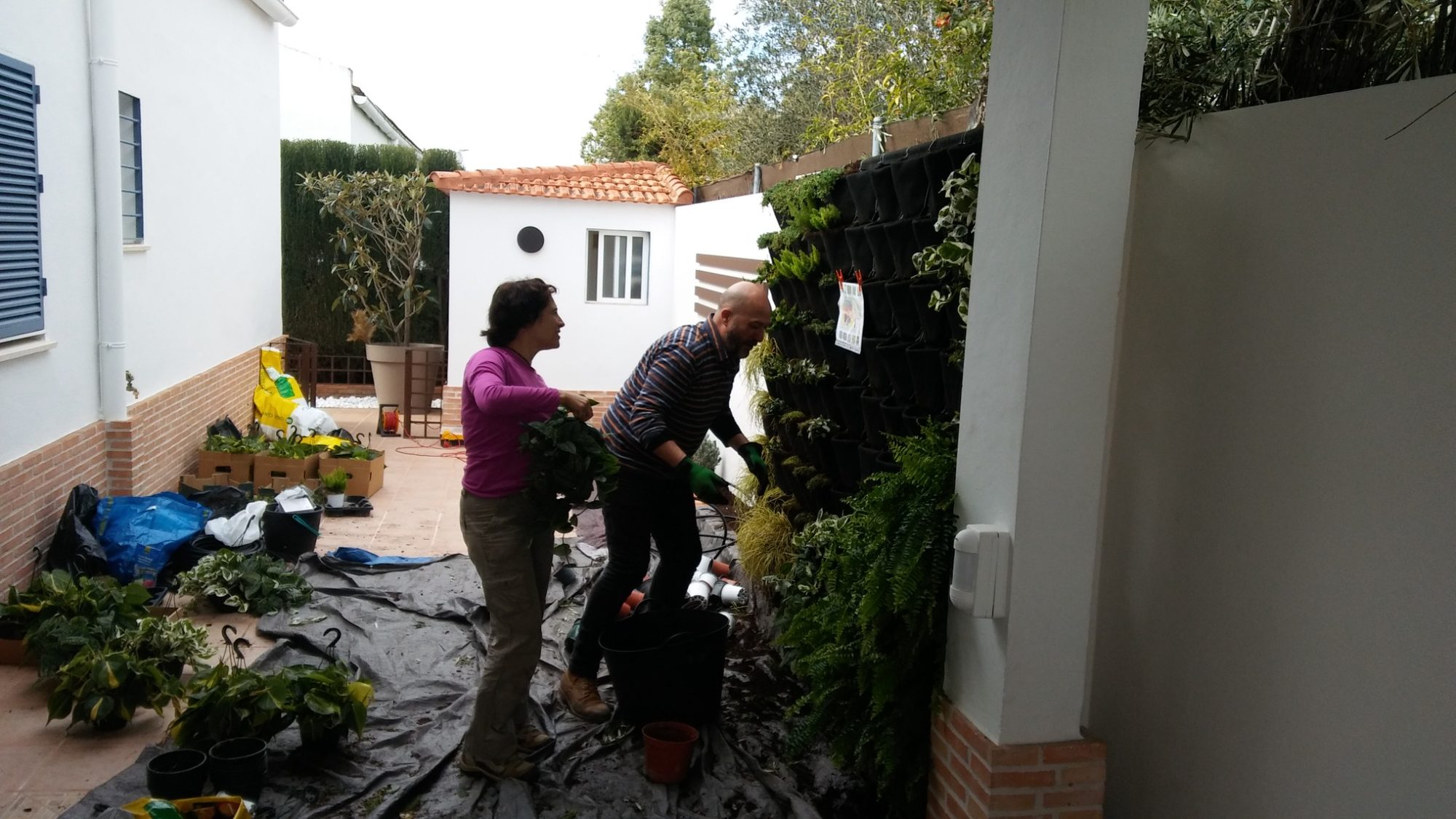 Jardín vertical en la Alquería de Almanzor · Espartinas, Sevilla (imagen 7)
